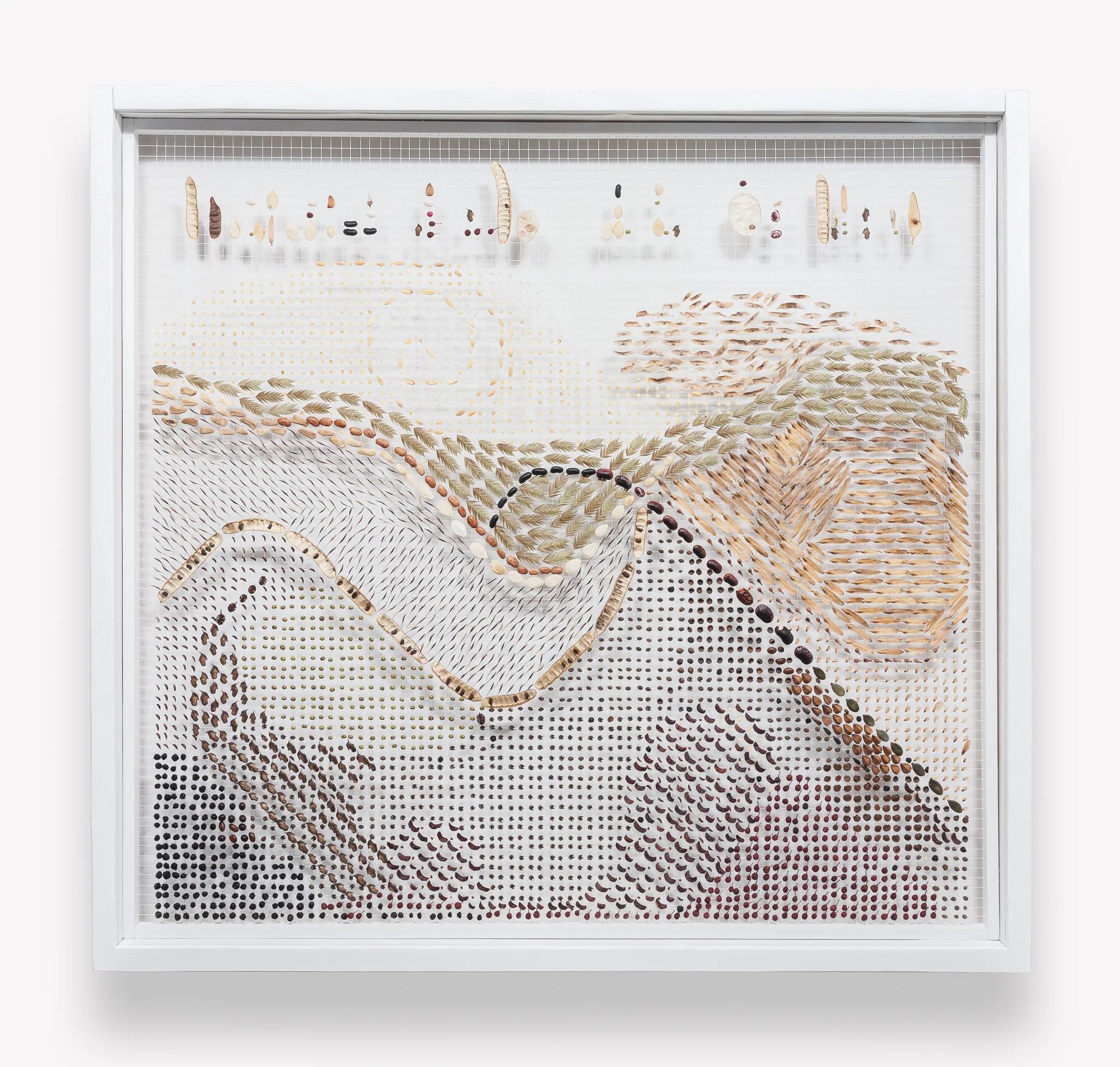    Wind Landscape: Southwest Michigan Drift #185003     Price: $5,000   Size: 34.5 in. x 37 in. x 3.5 in.  Southwest Michigan collection  Custom built shadow box style exhibit frame (re-purposed barn wood) with plexiglass front. Painted white (low VO