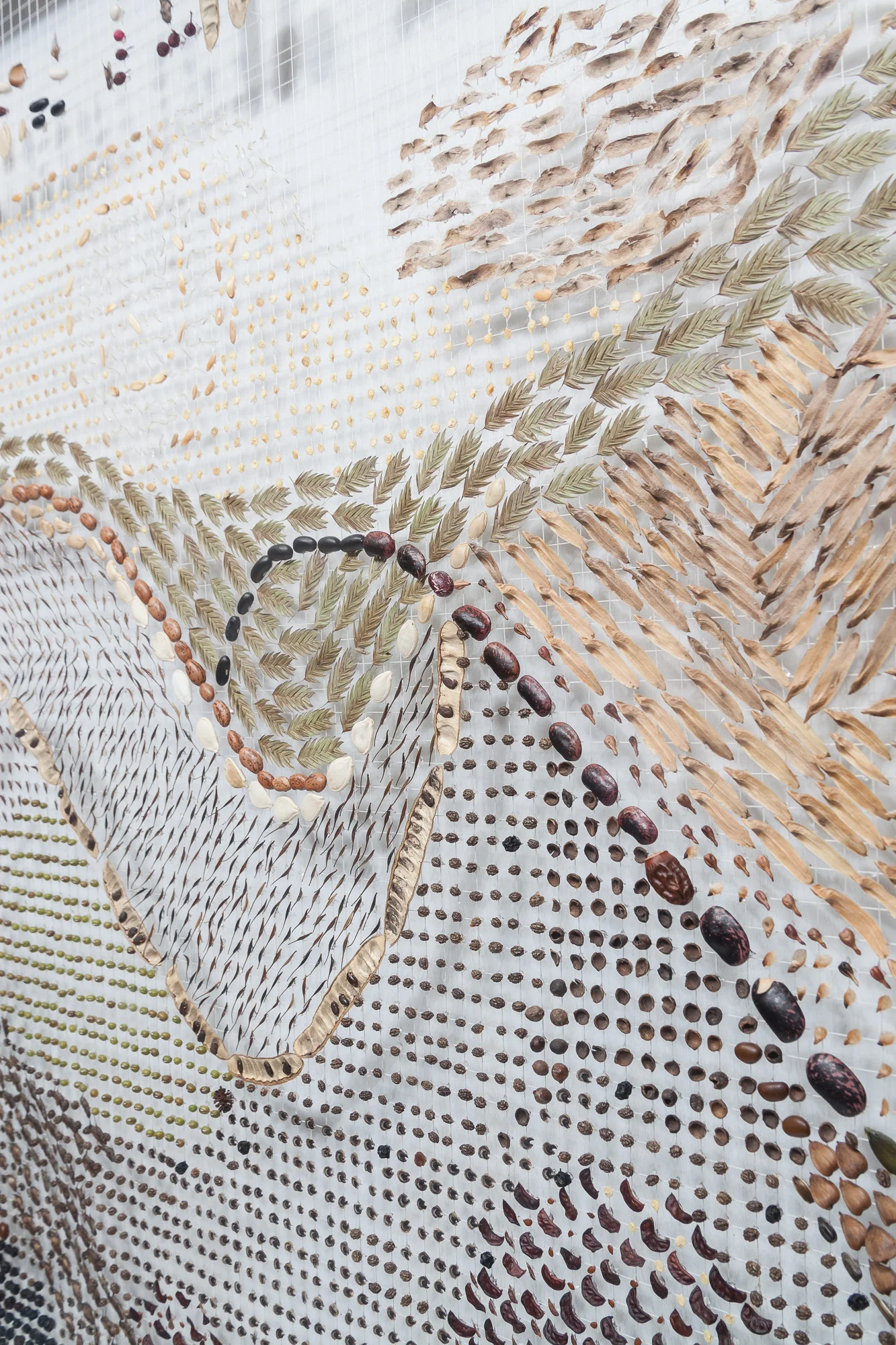   (Detail)  Wind Landscape: Southwest Michigan Drift #185003     Mixed media : antique white thread, botanical seeds and litterfall. 