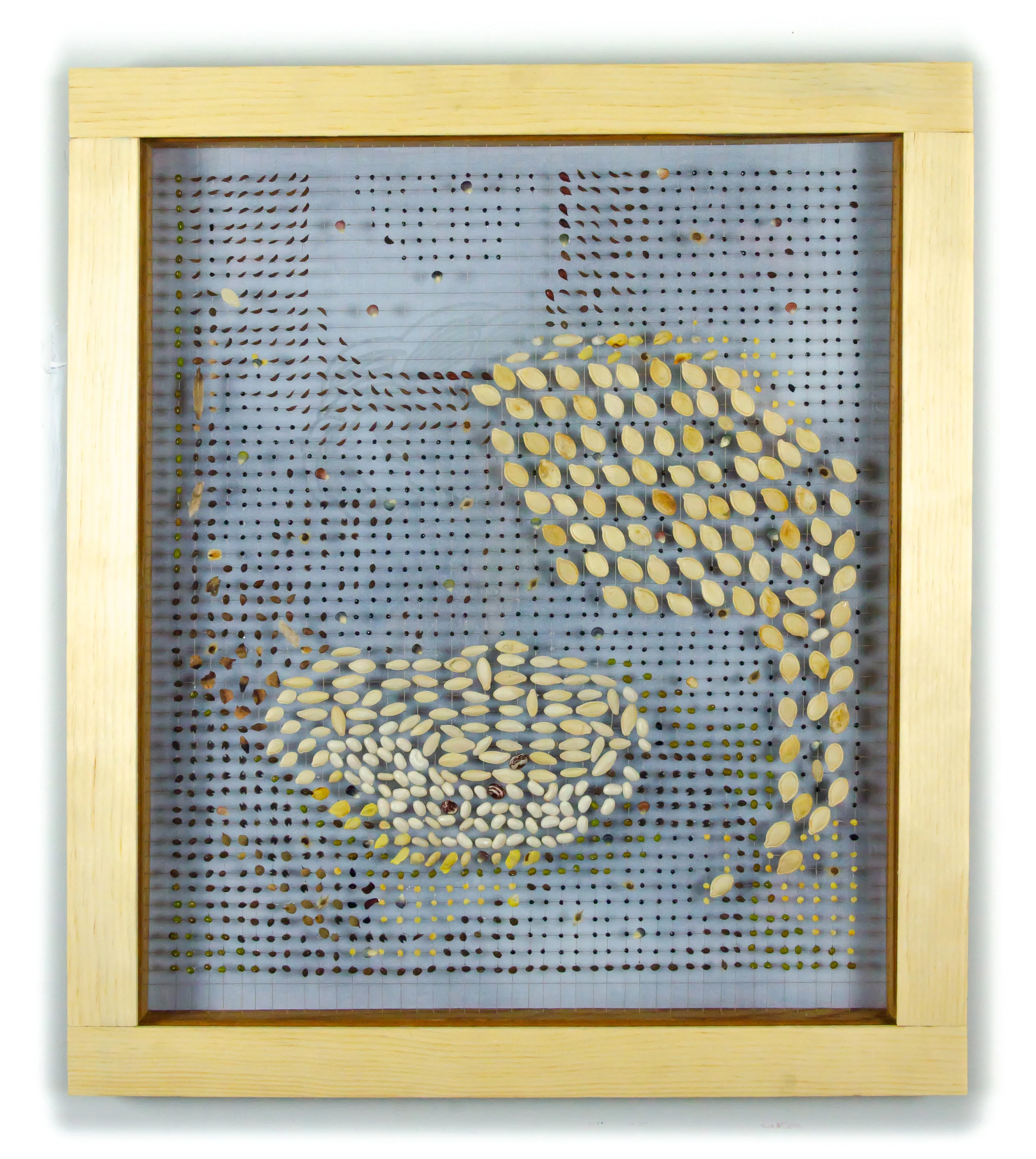 Love Song to the Orange and Pumpkin Seed #1010012