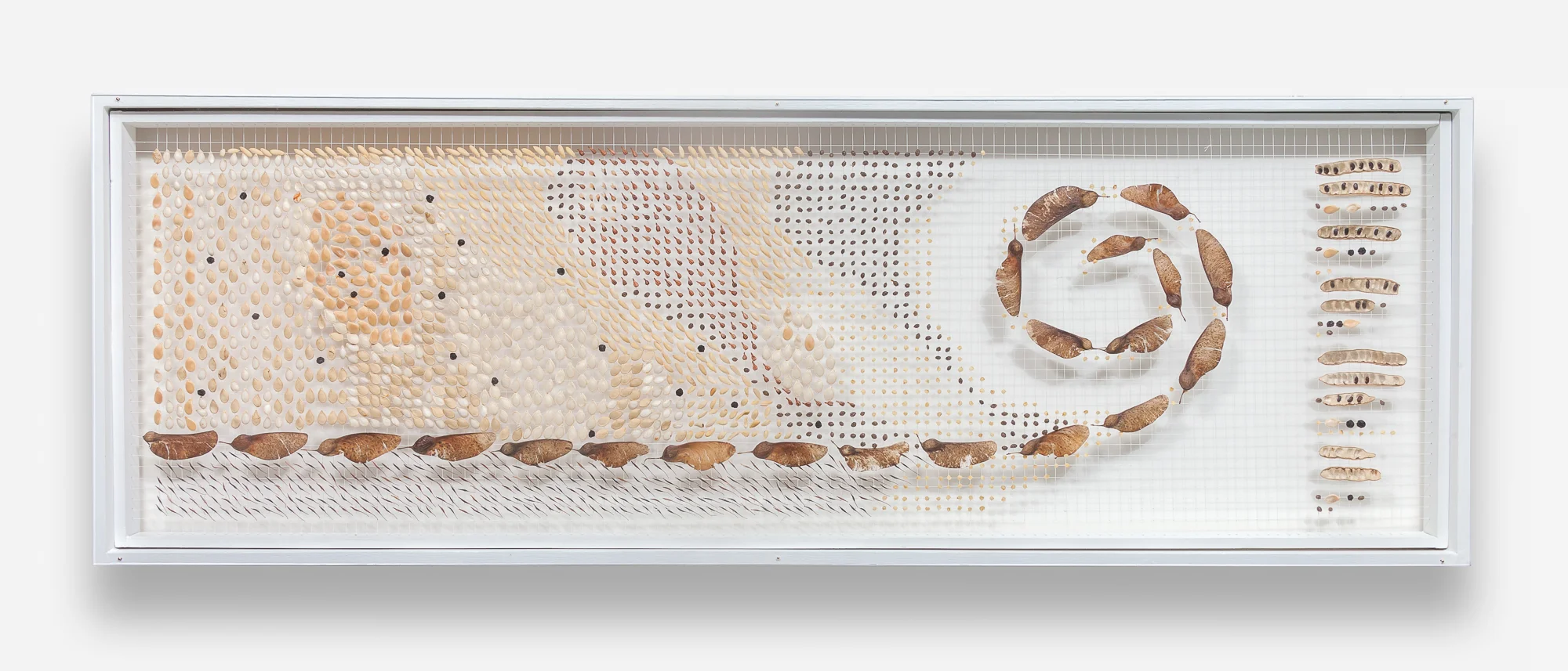 © 2002-2019 SHILIN HORA ALL RIGHTS RESERVED