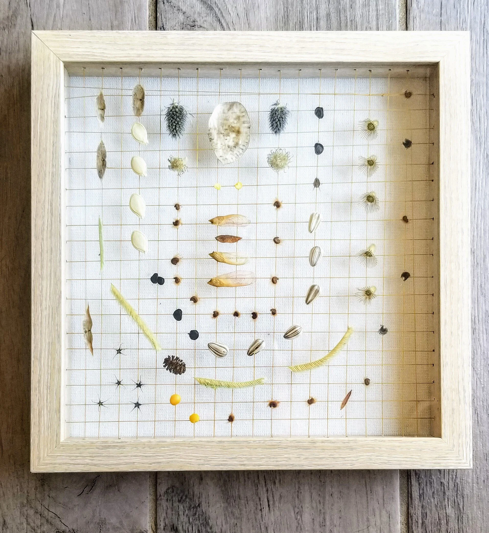 West Michigan Collection