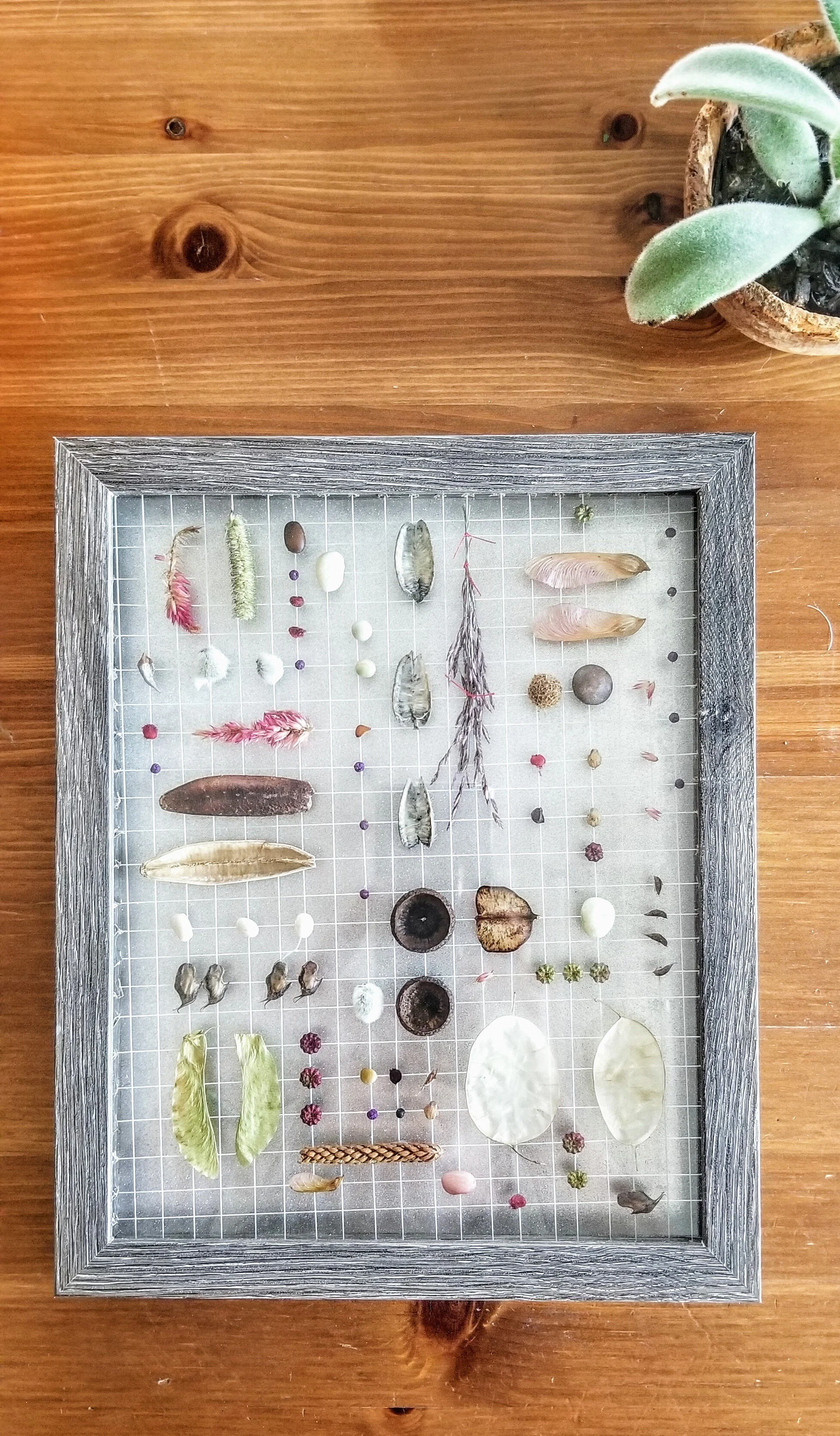 Chicago Loop's Urban Parks 