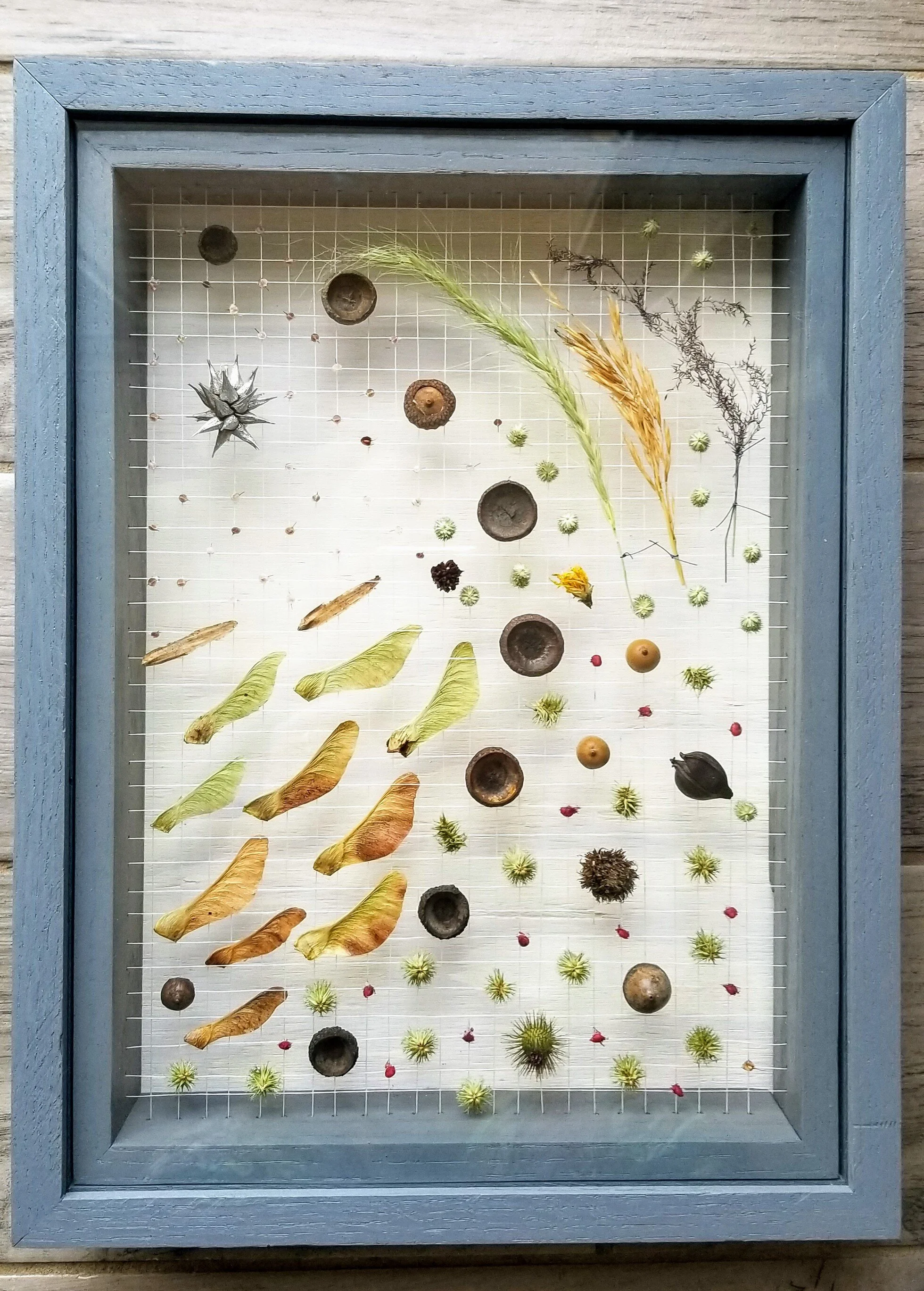 pic 20.jpg