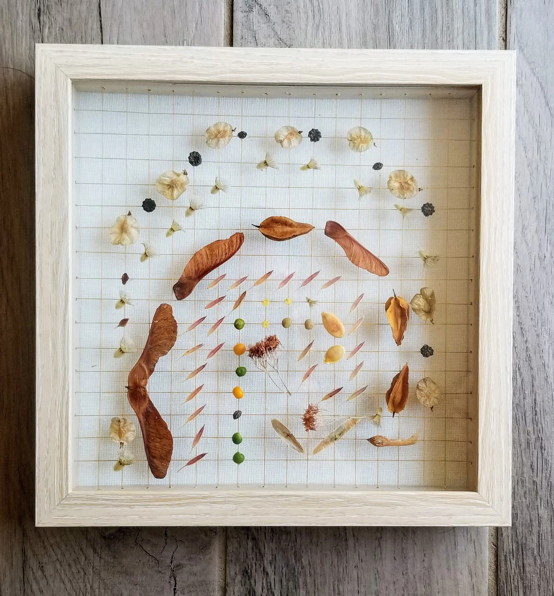 Chicagoland Cul-de-Sac