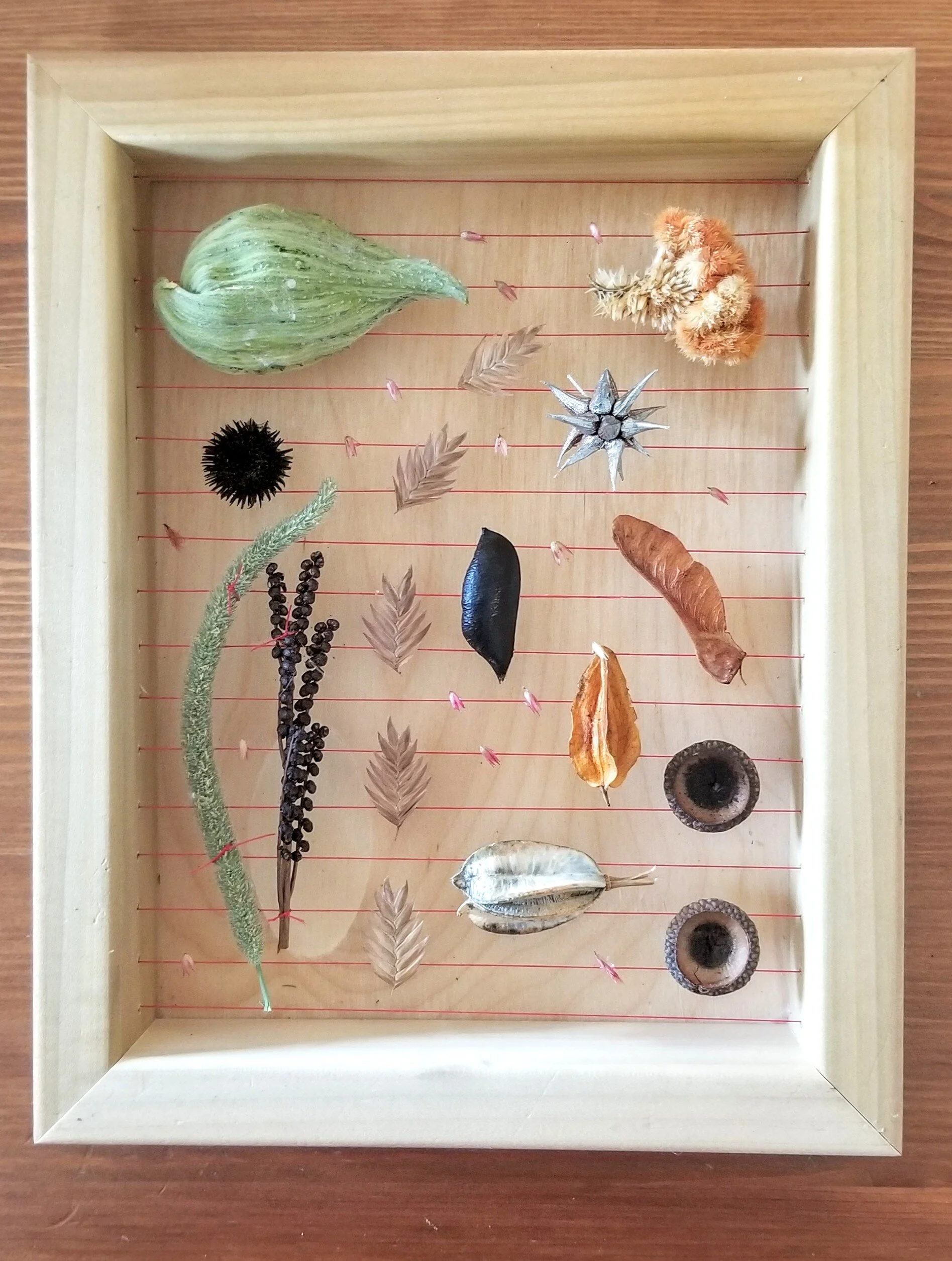 October Oak Park Collection