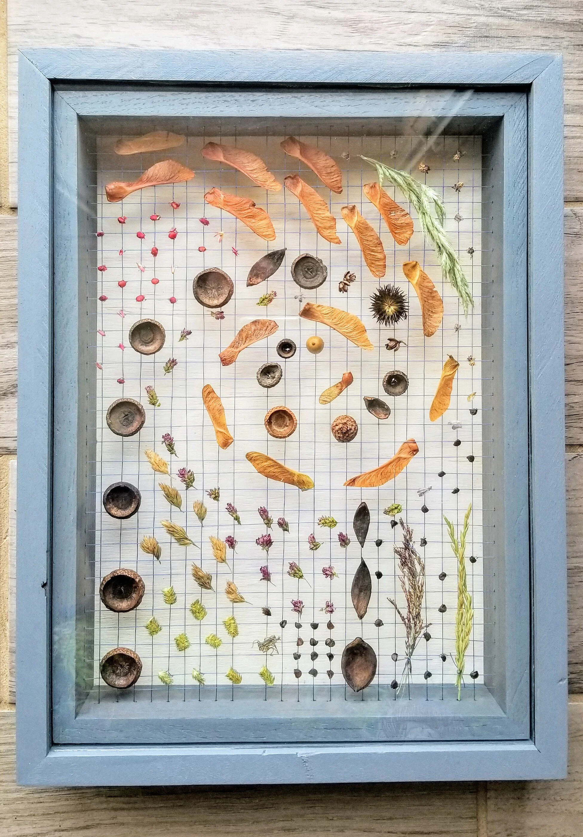 Buchanan Michigan Collection