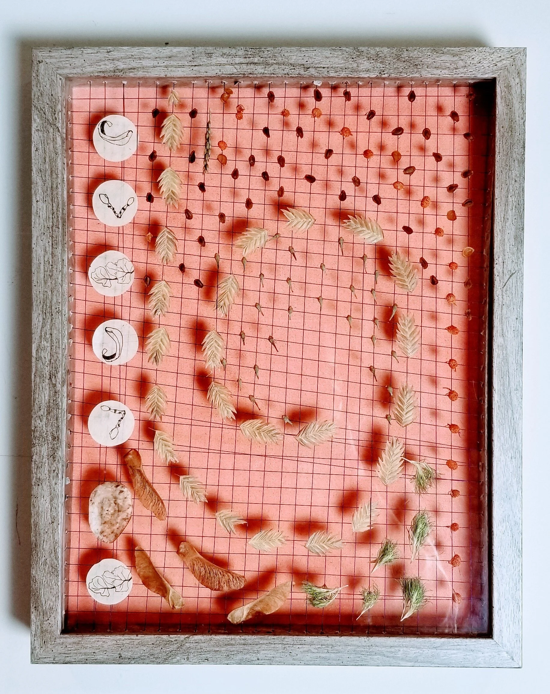 Spiral Jetty Great Lakes