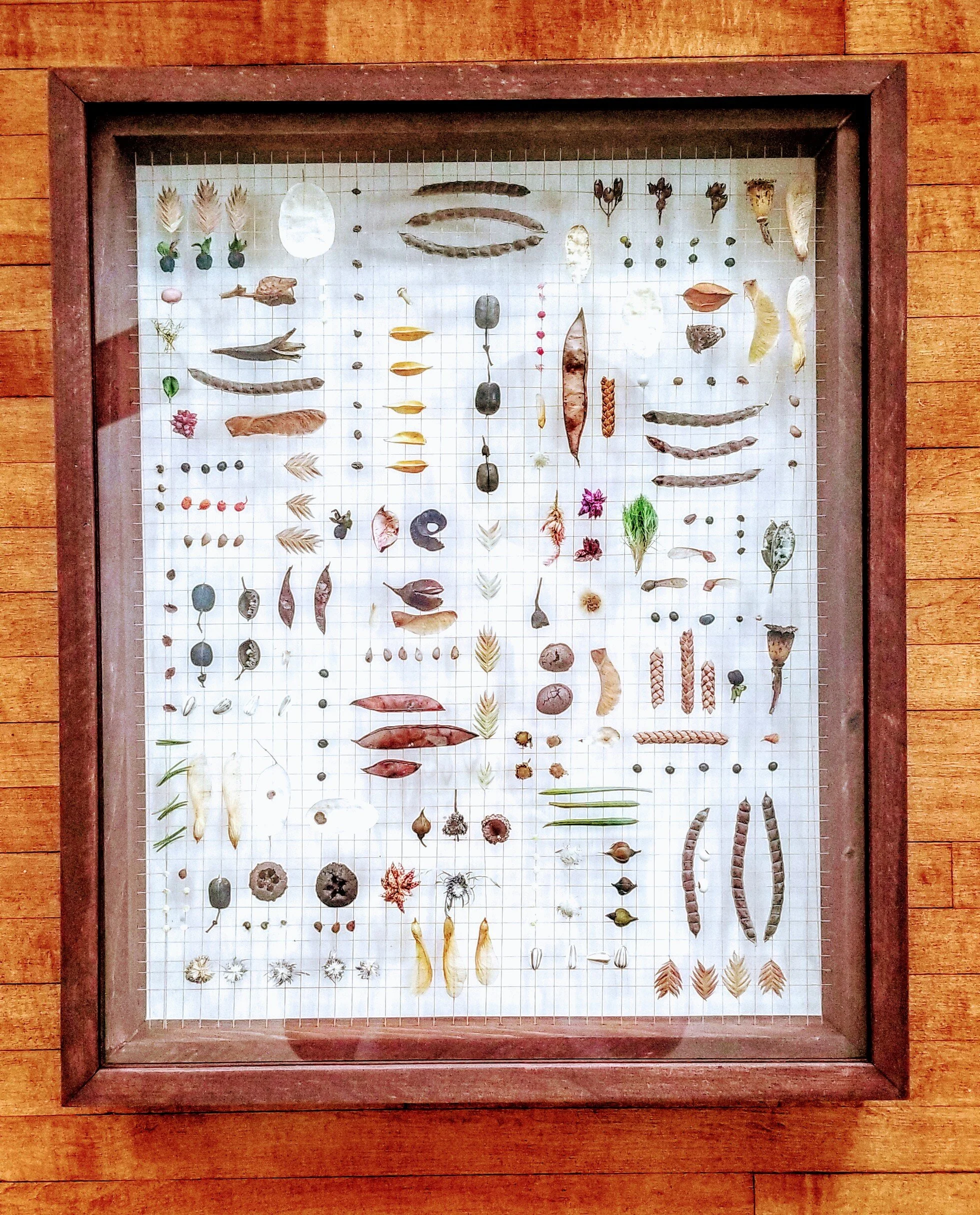 Berwyn &amp; Oak Park Collection