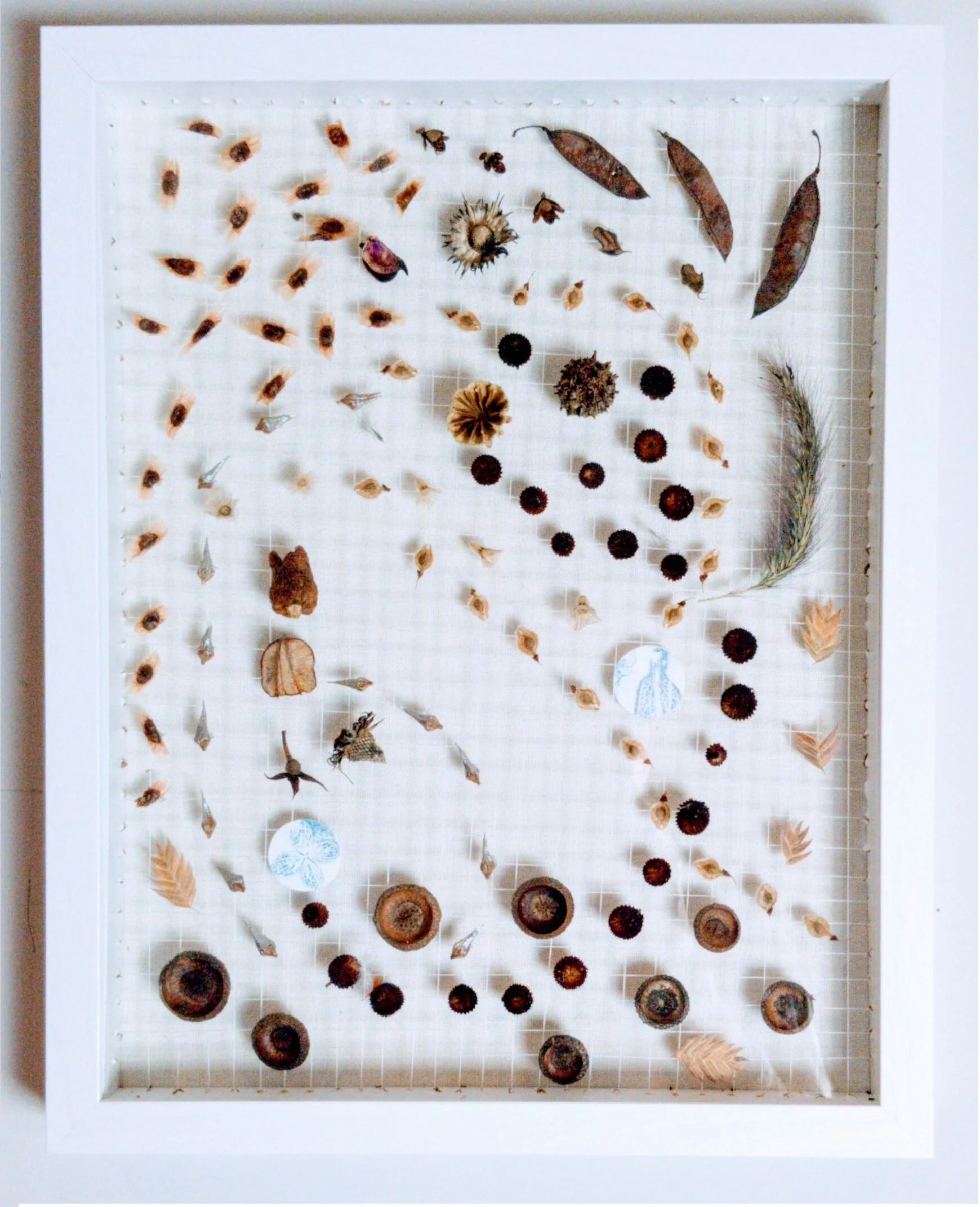 Urban Perennial Planting