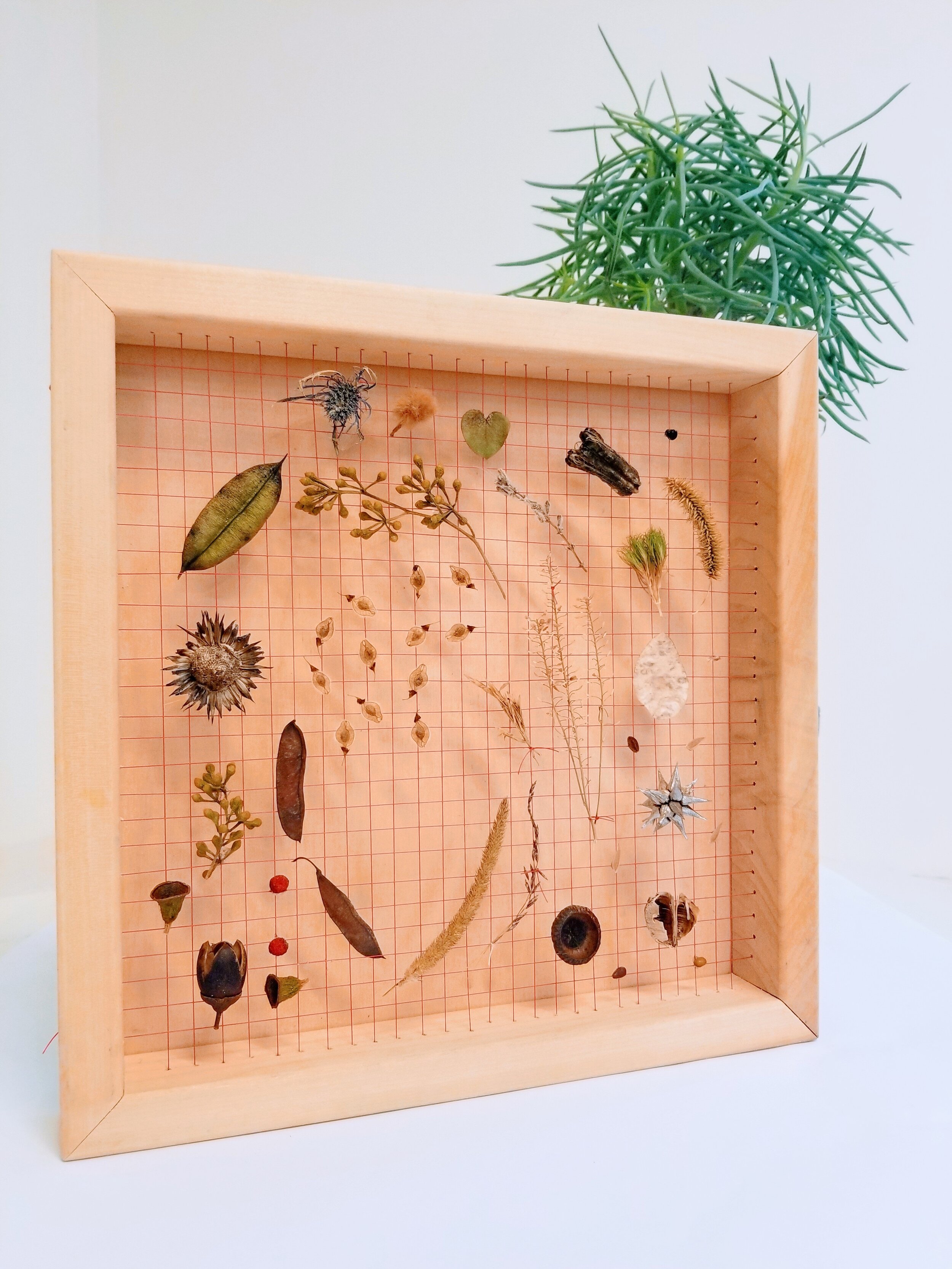 Urban Park Experience