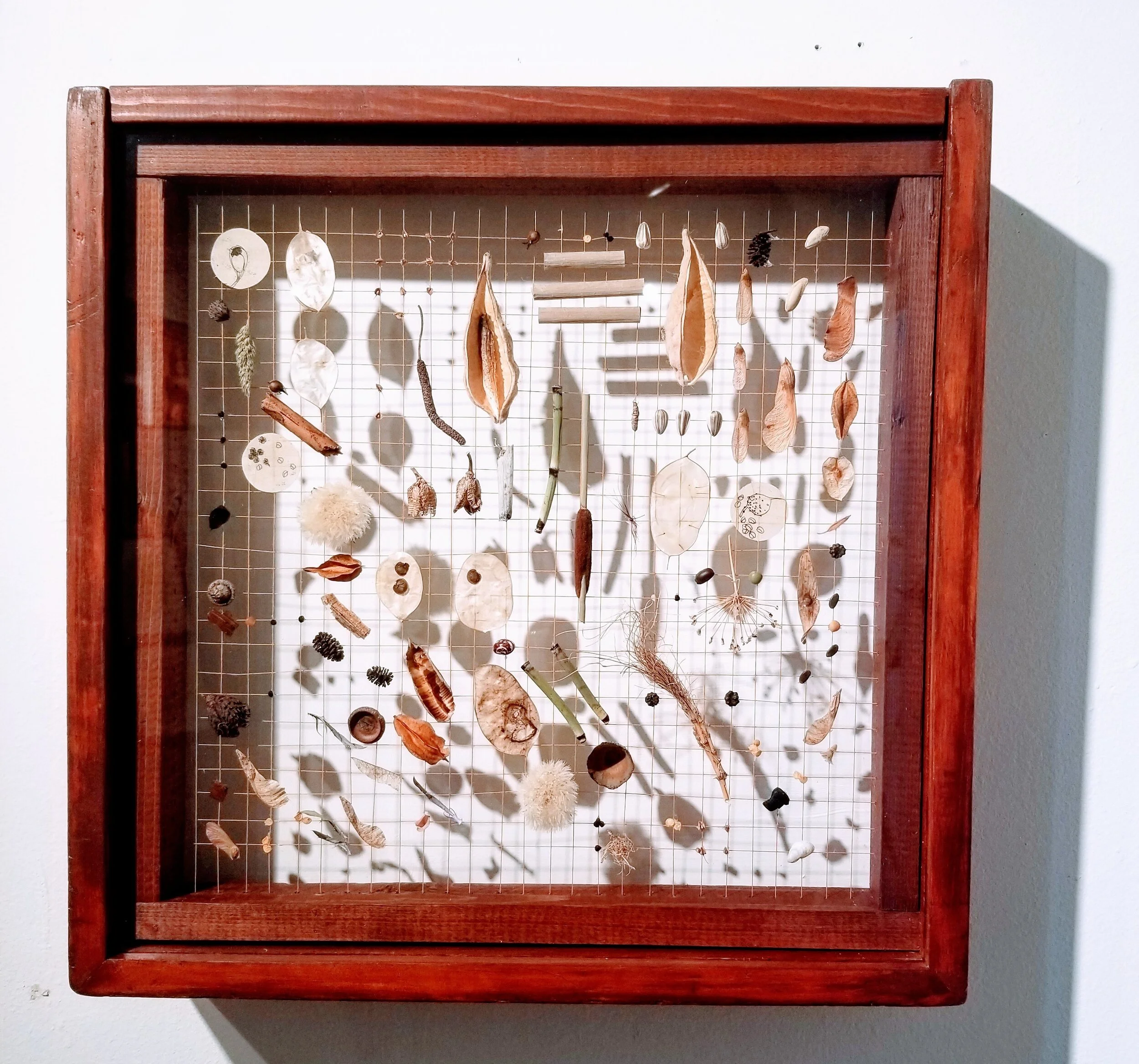 Indigo &amp; Carex Grayi Dinner Table Dance