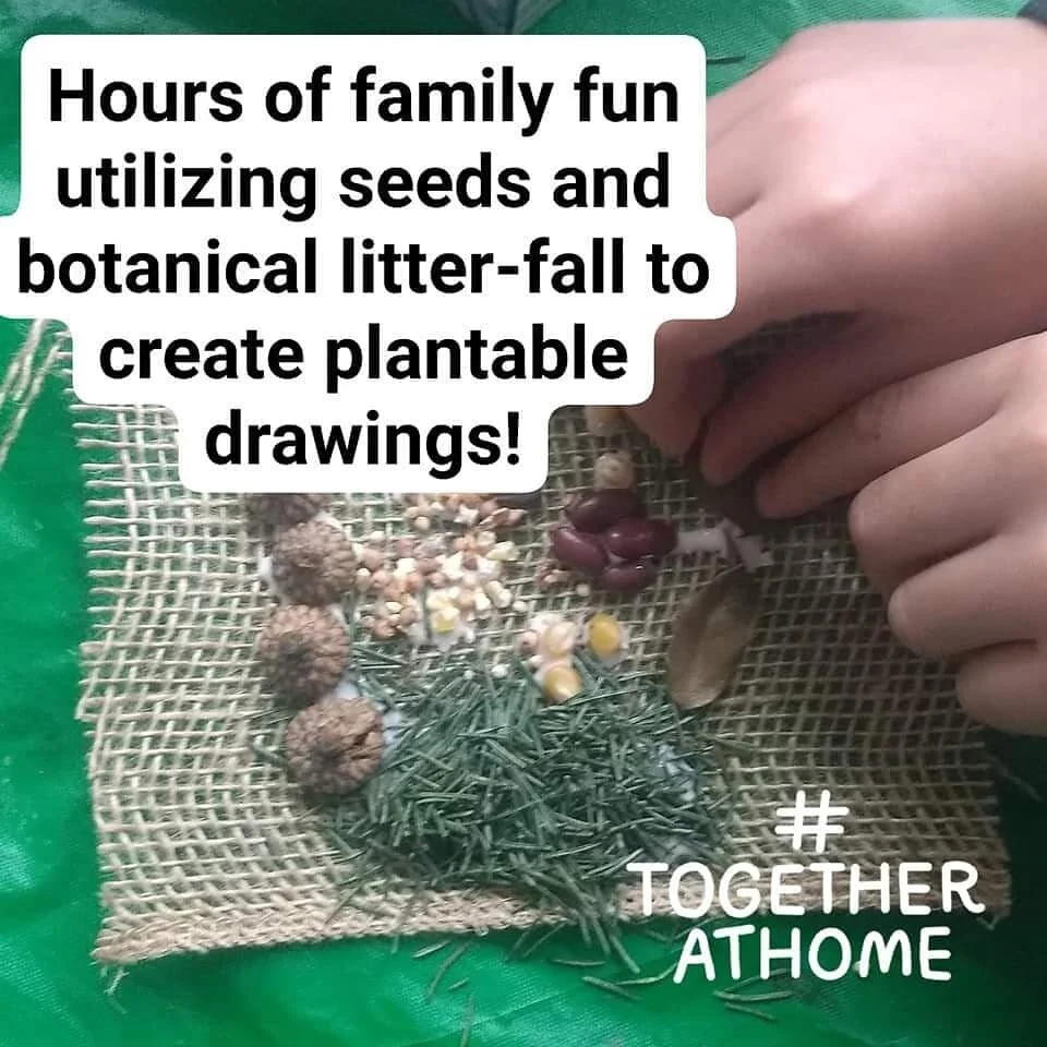 Seed Quilt Kit 2.jpg