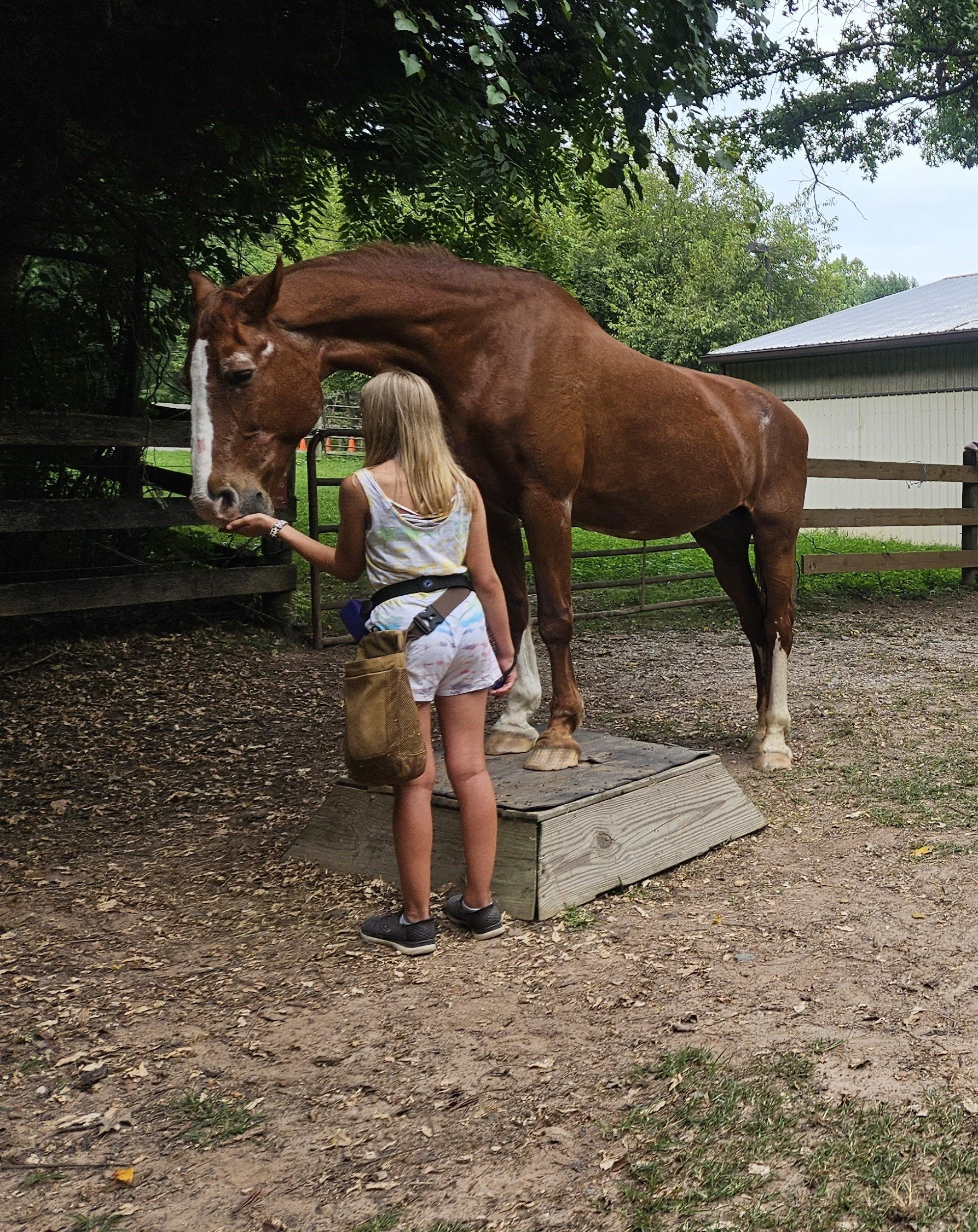 Nickers for Clickers Presidents Day Full Day Camp for Kids