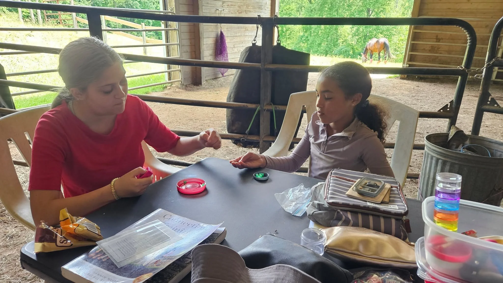 🐴 Want to experience what it's like to be the learner, for a hot minute? 🤓 Feel what it's like to be a &quot;horse&quot; who doesn't know what the trainer wants, and then switch roles with your trainer. Horses love skilled trainers who can empathiz