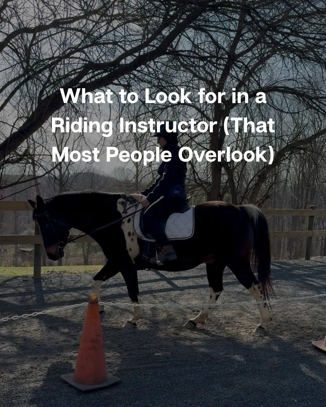 Looking for a riding instructor who cares just as much how the horse feels? 🐴
I have a background in rider biomechanics and offer thoughtful, low-stress instruction, helping you learn the HOW and the WHY of great riding. I also use clicker training 