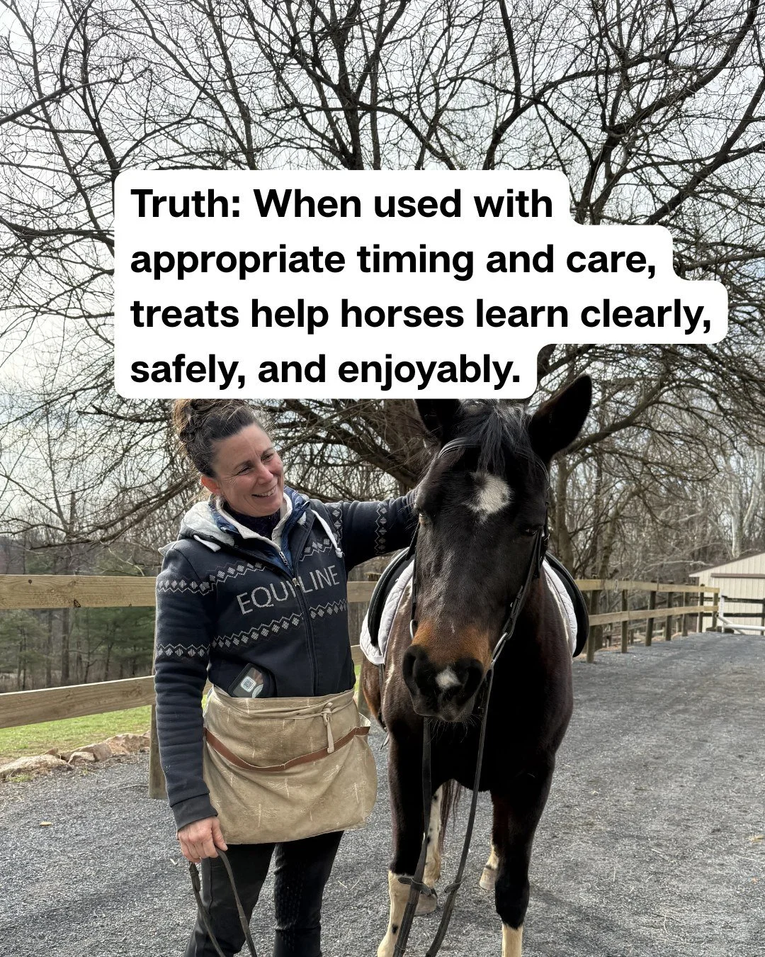 I teach riders and owners how to use positive reinforcement effectively 🐴
 Making lessons safe, clear, and enjoyable for both horse and rider.
✨ Wondering how it works in practice? Follow to learn more &amp; check the link in bio!
#RidingInstructor 