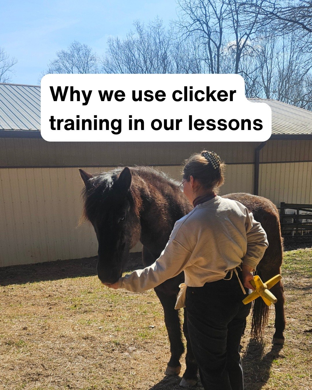 Want to learn how? We offer lessons with your horse or ours. Learn more  at HeartofRiding.com or go to  link in bio 🤩

#RidingInstructor #EquestrianLife #HorseRiding #LearnToRide 
#HorseConnection #PositiveReinforcement #ClickerTraining #RidingLesso