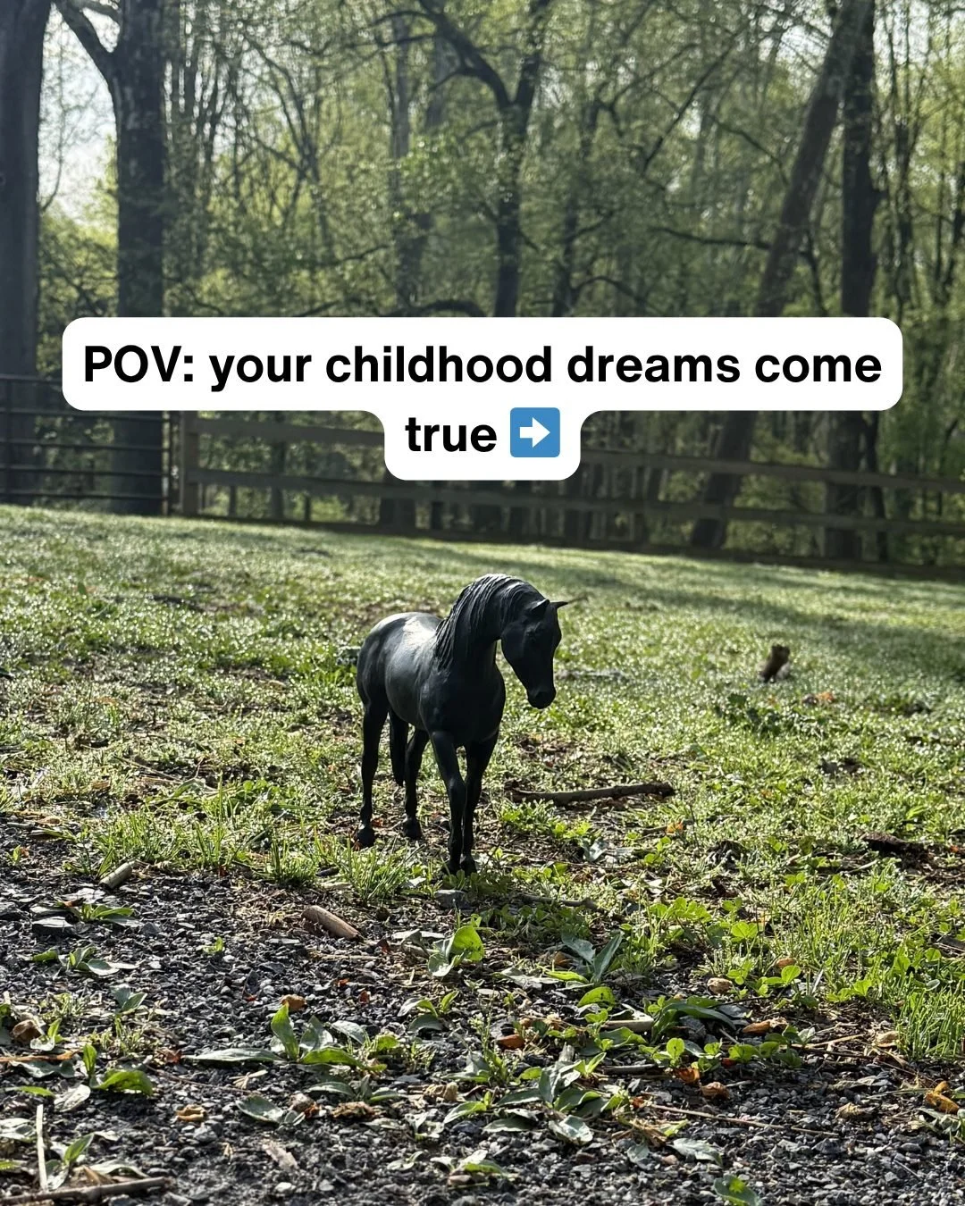 Some childhood dreams don&rsquo;t fade &mdash; they just wait for the right moment to come to life. 🤍 At Heart of Riding, it&rsquo;s about more than riding &mdash; it&rsquo;s about developing a relationship with the horse in front of you.
We work wi
