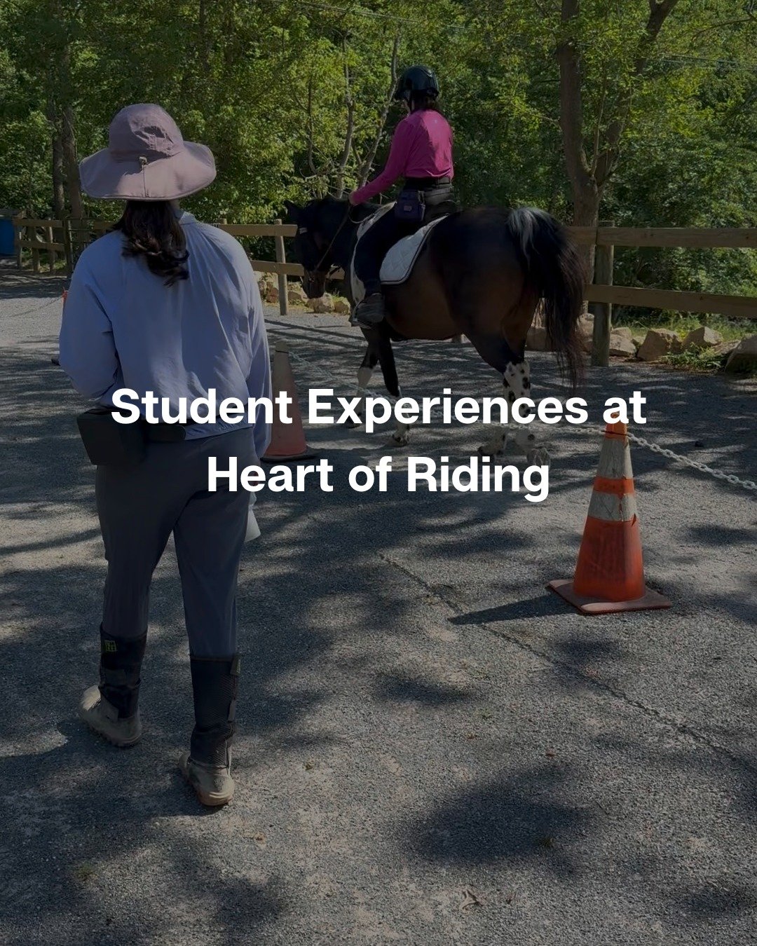 We offer biomechanics-focused riding and groundwork lessons that incorporate positive reinforcement to help students build meaningful connections with horses.
If you&rsquo;re curious about lessons, send a DM or visit HeartOfRiding.com. 💖
#heartofrid