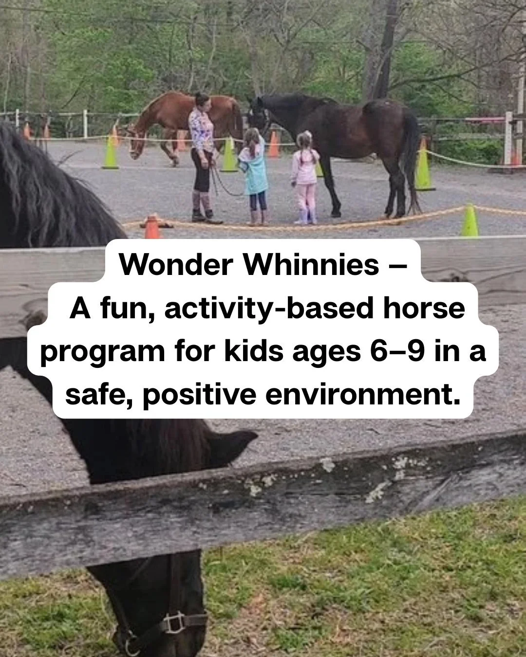 Enrollment is now open for the next 7-week series starting in July! Get your spot before the class fills up- only 5 spots left. 
✨📢Wonder Whinnies is a fun, activity-based horse program for kids ages 6 to 9 designed to help young horse lovers build 