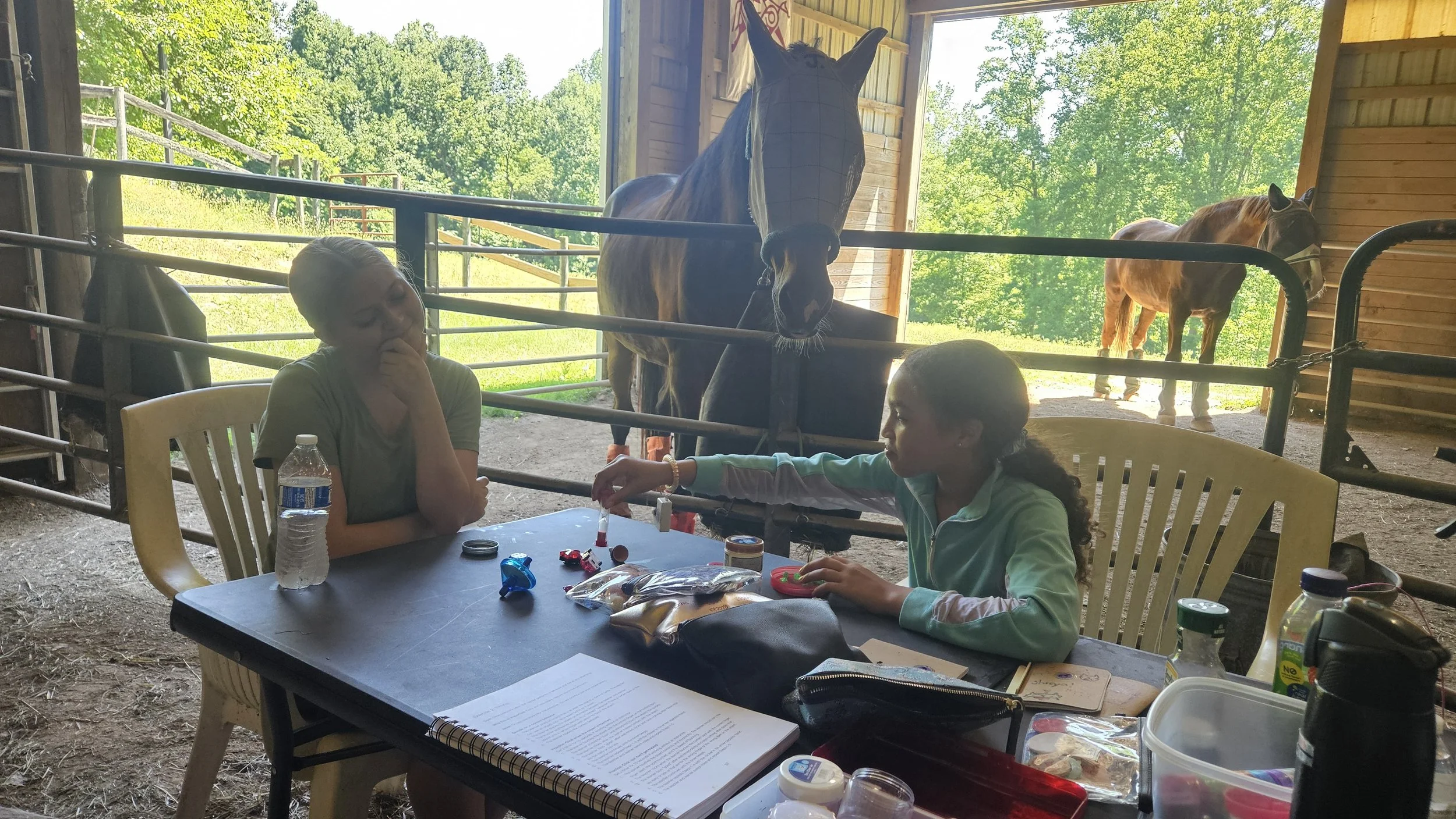 Horse BASICS Class Third Saturdays: PORTL