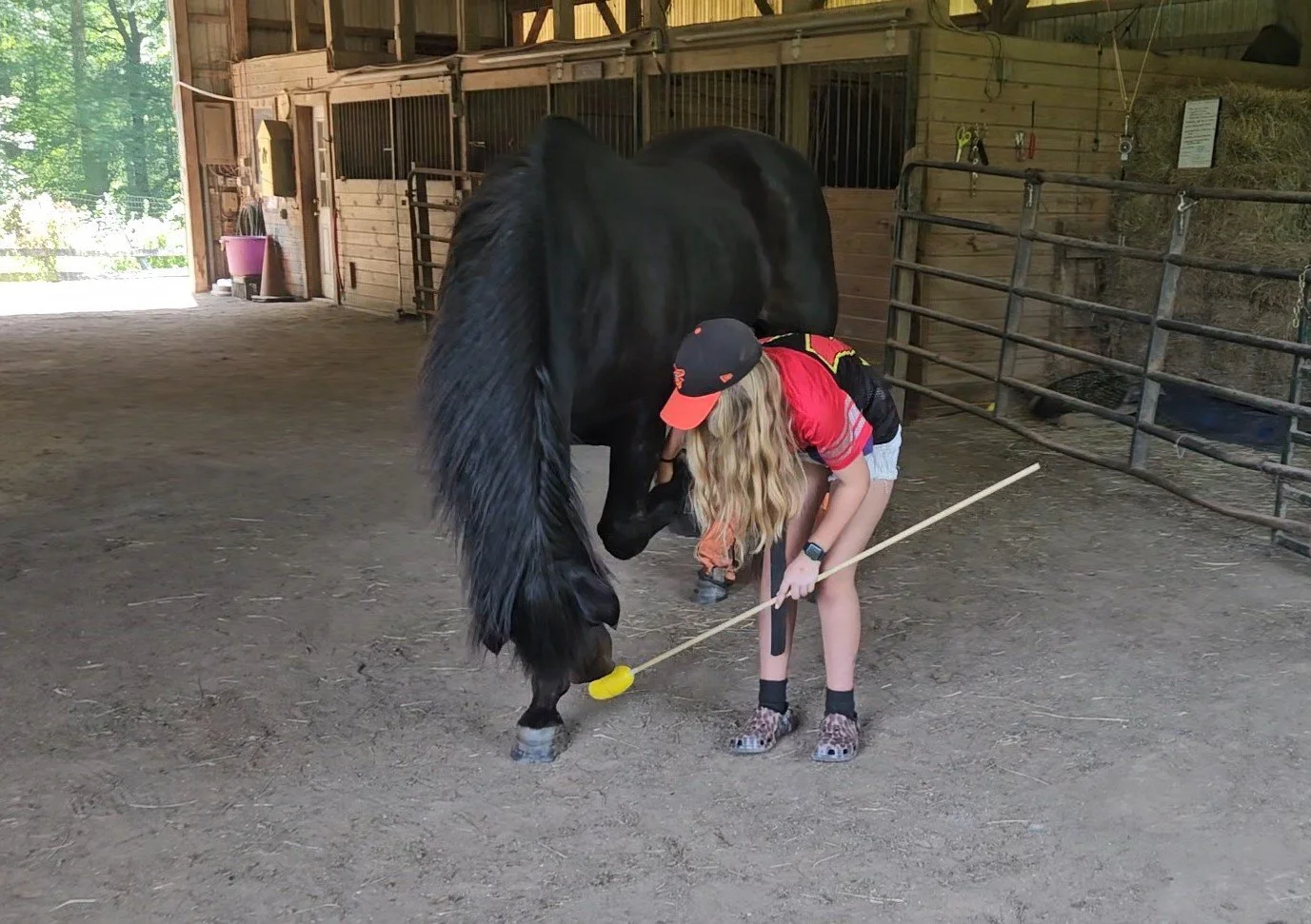 Horse BASICS Class First Saturdays: Clicker Training Horses