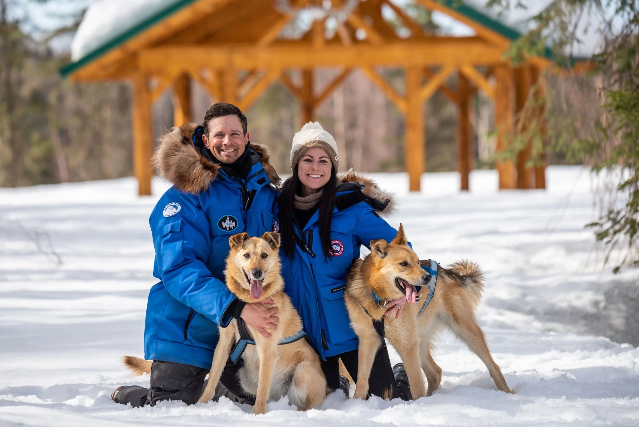 Welcome to Our Dog Blog! 
