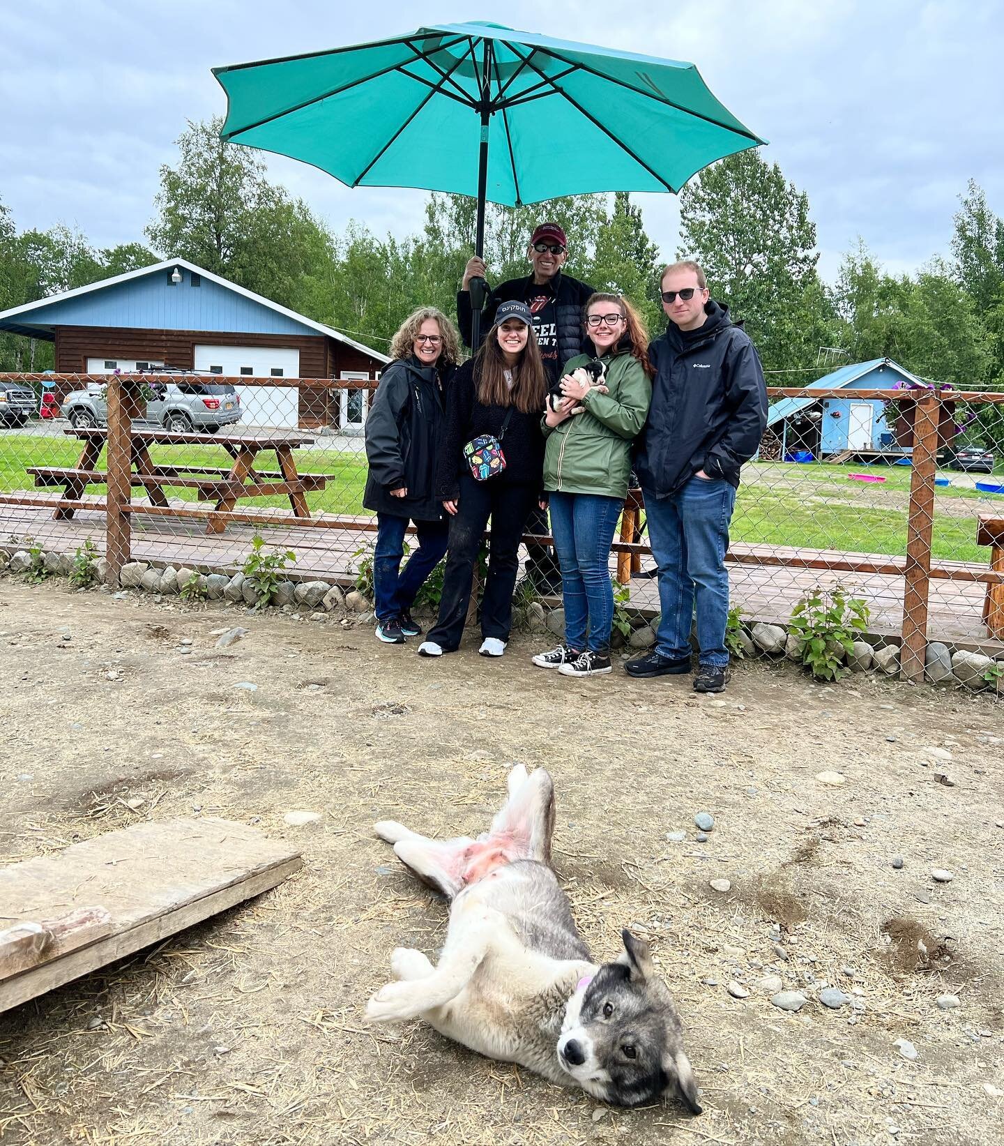 Thx to Becky Hacker we have a puppy for our guests to cuddle and help socialize! Ventana gave birth to a solo female pup named Thora and are guests can&rsquo;t get enough of her! 
🤗 😊 🥰 Ventana doesn&rsquo;t seem to mind 😂 @17thdog #alaska #alask