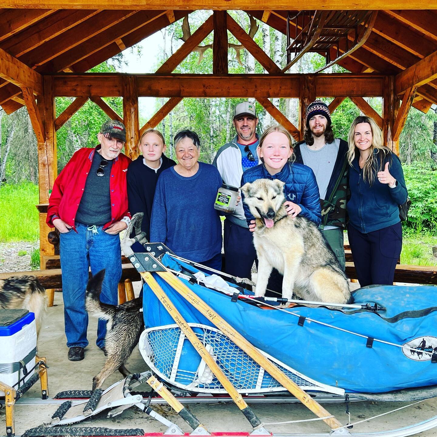 🐶 Happy dogs and happy guests! Tango really enjoys sitting on the sled and posing for the guests 😂 😊 @17thdog #sleddog #alaska #alaskan #alaskanhusky #alaskanhuskyadventures #tango #tourism #teamwork #summertourism