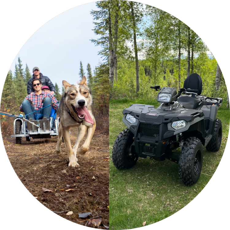 Dog Sled Rides — Alaskan Husky Adventures