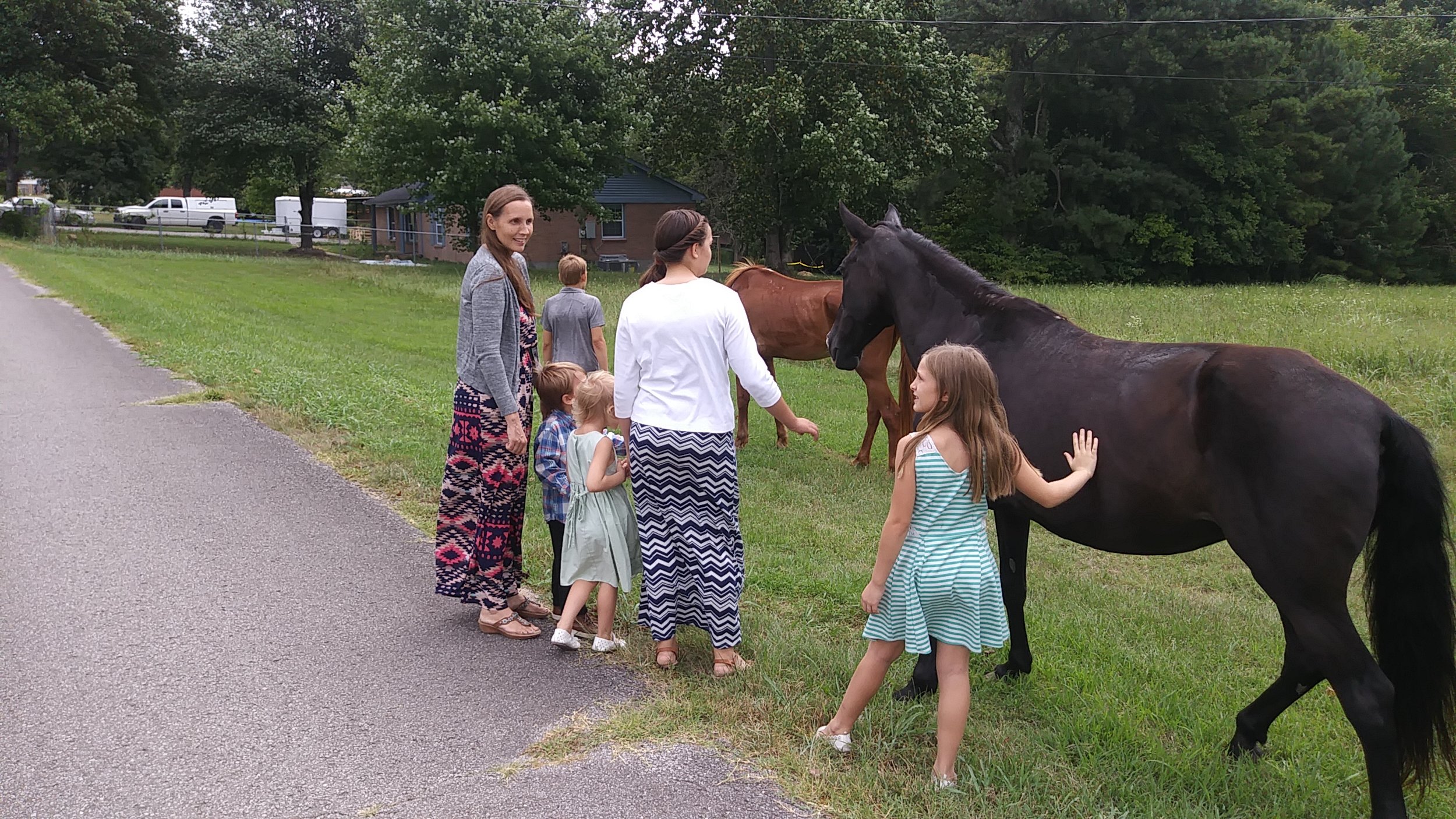 Horses 2.jpg