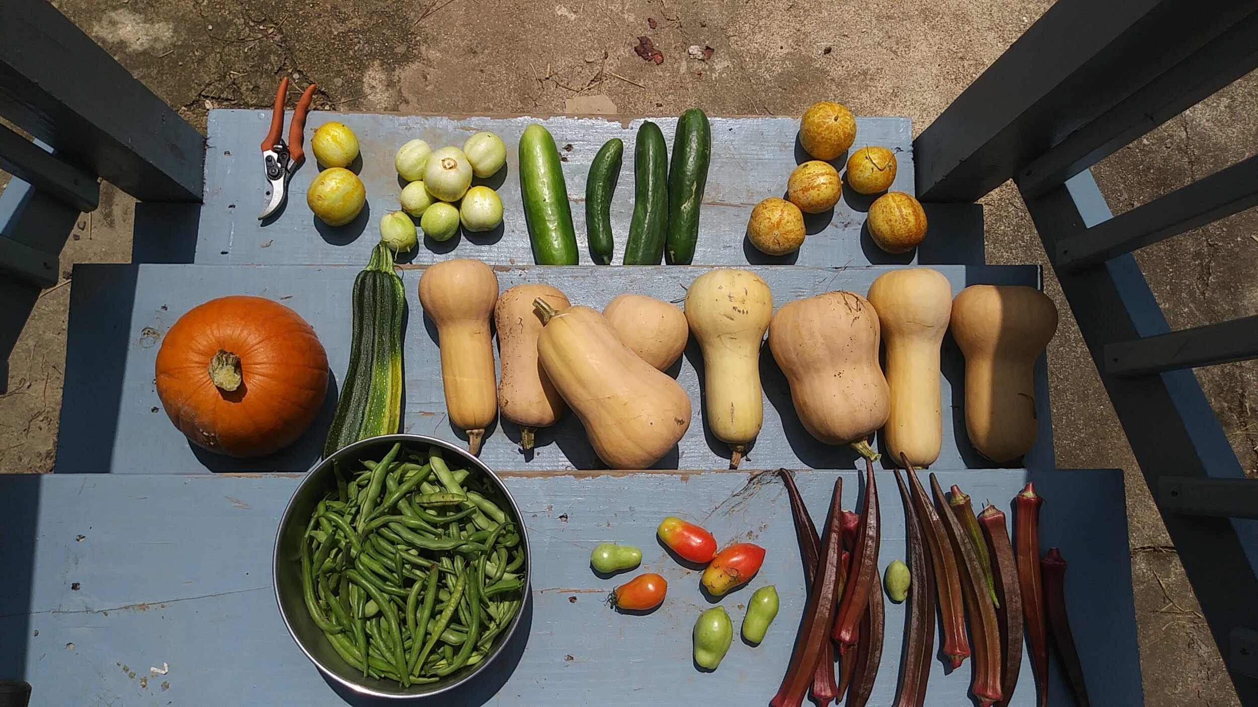  A day’s picking. 