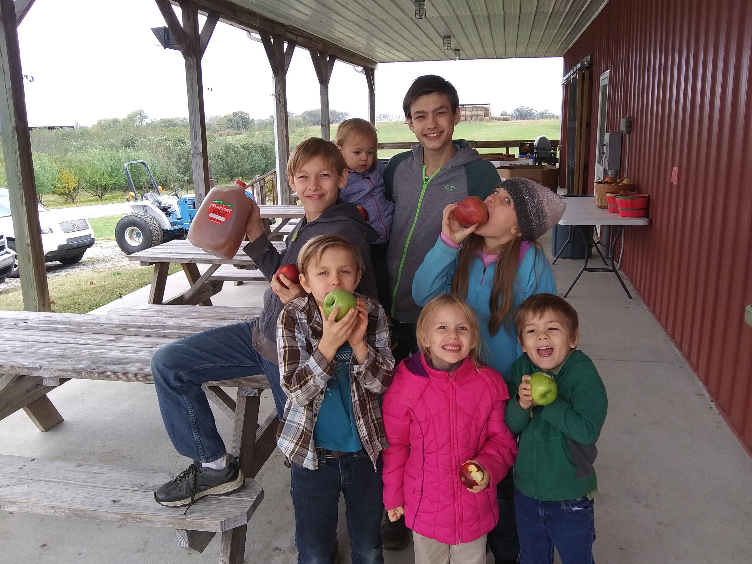  Getting the last of the apple harvest. 