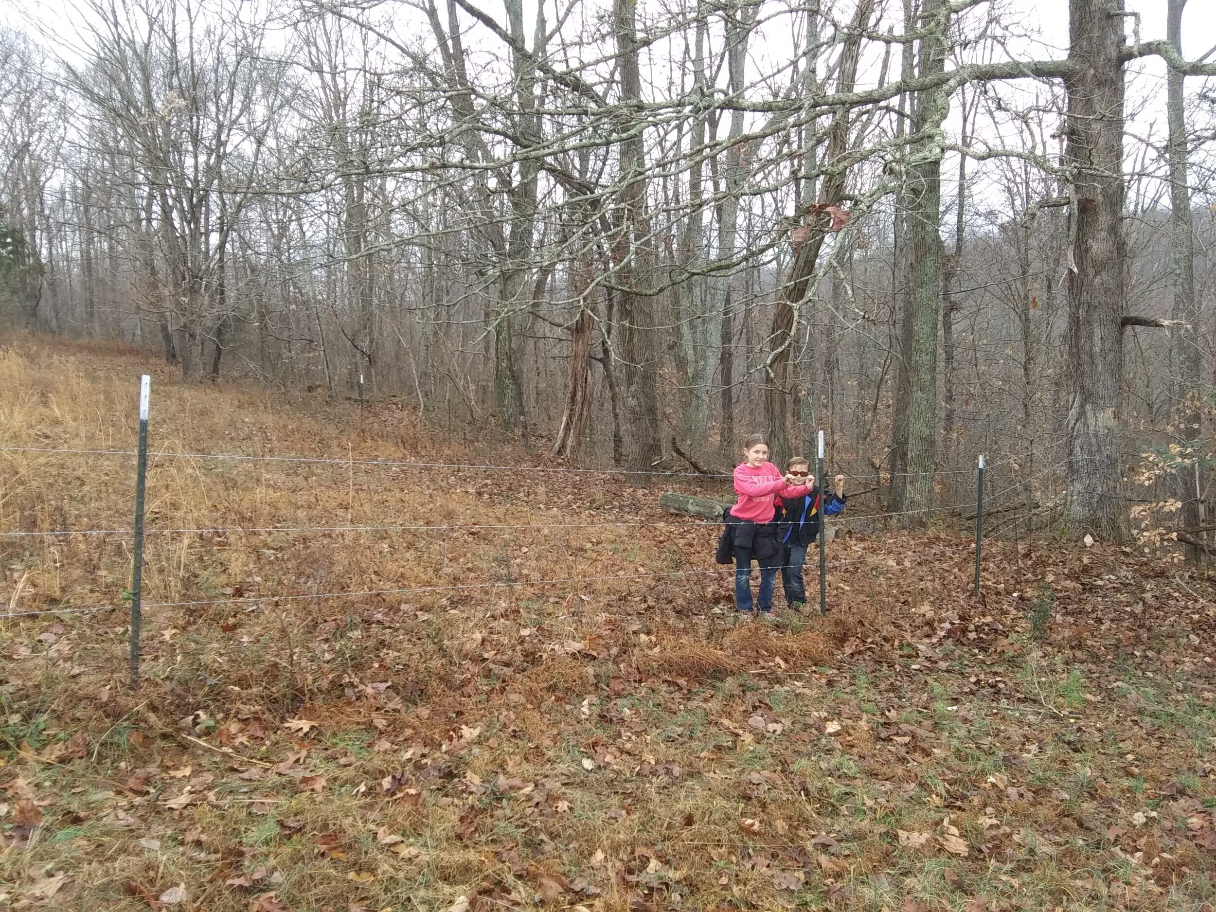  Fence project on the pasture. 