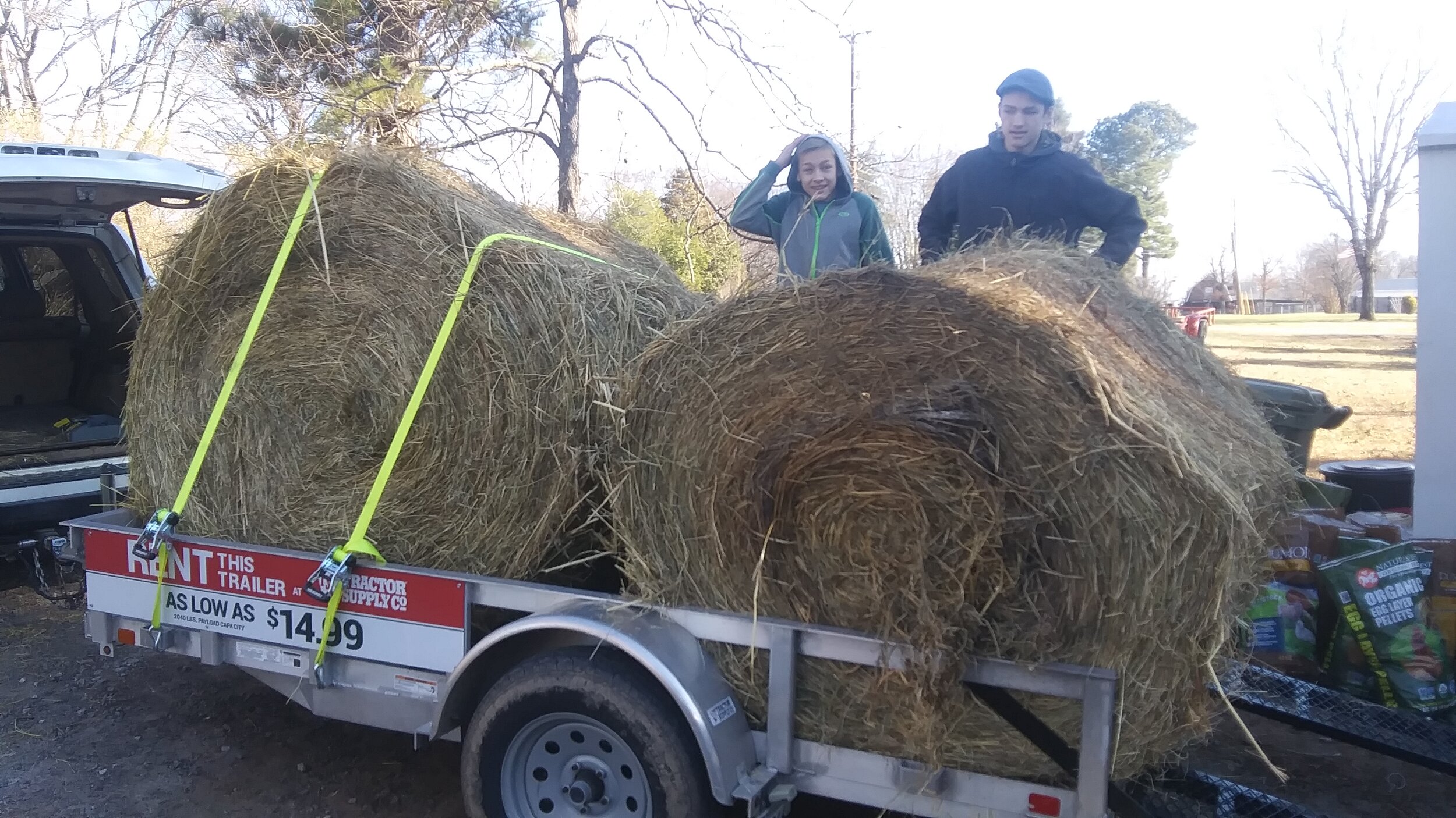 Picking up rolled hay