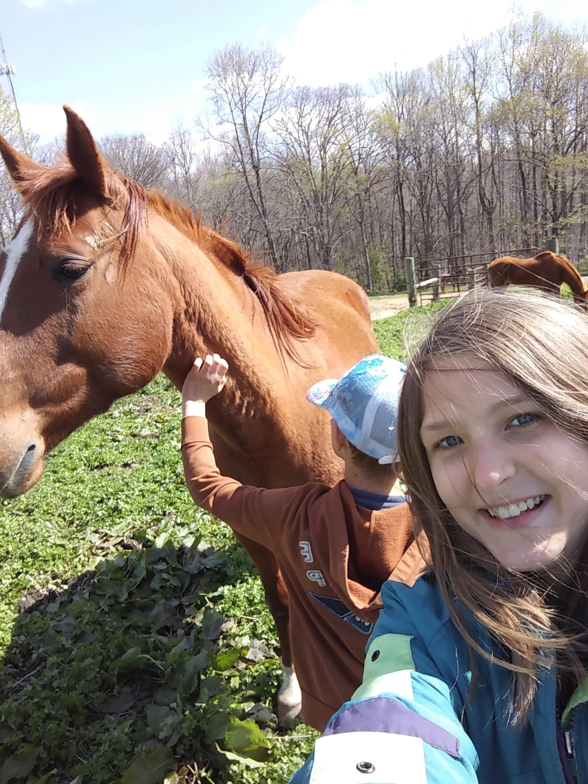 Neighbor's friendly horse