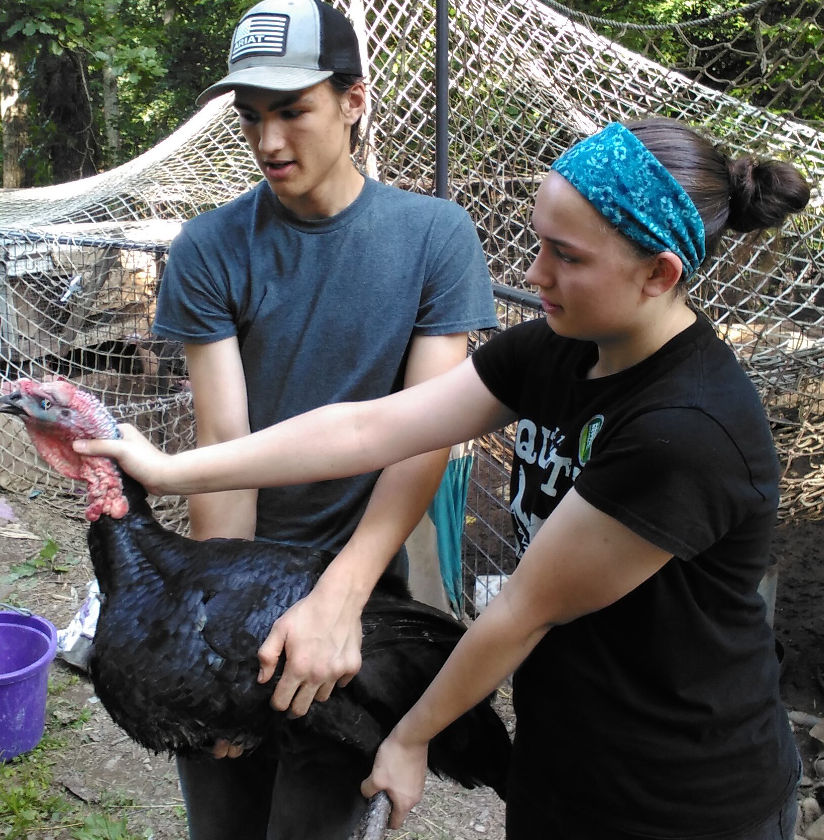 Nate and Isa carrying our turkey to his new coop