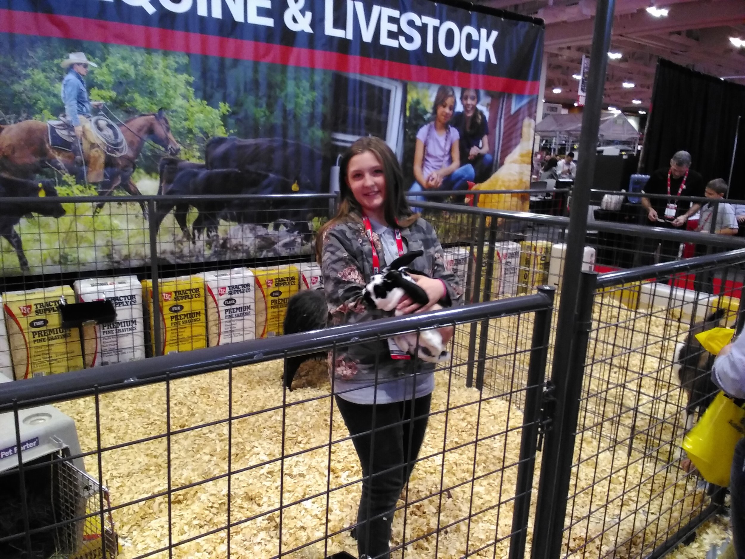 Running the tractor supply petting zoo