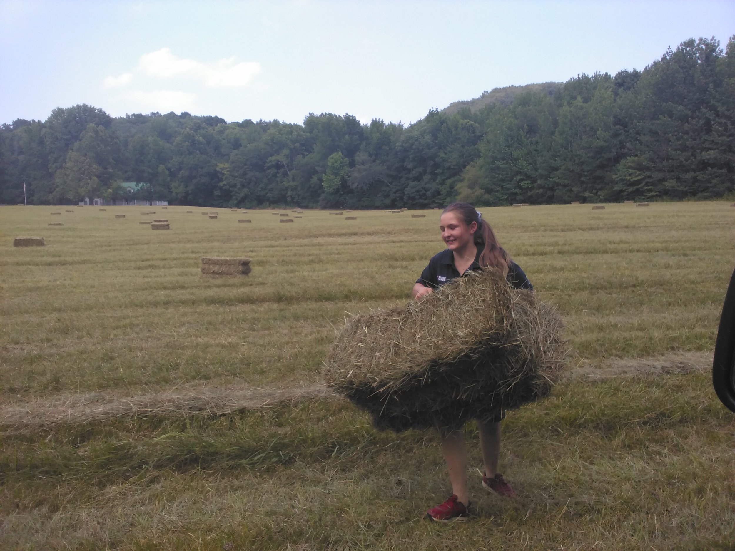 Quick hay pick up.