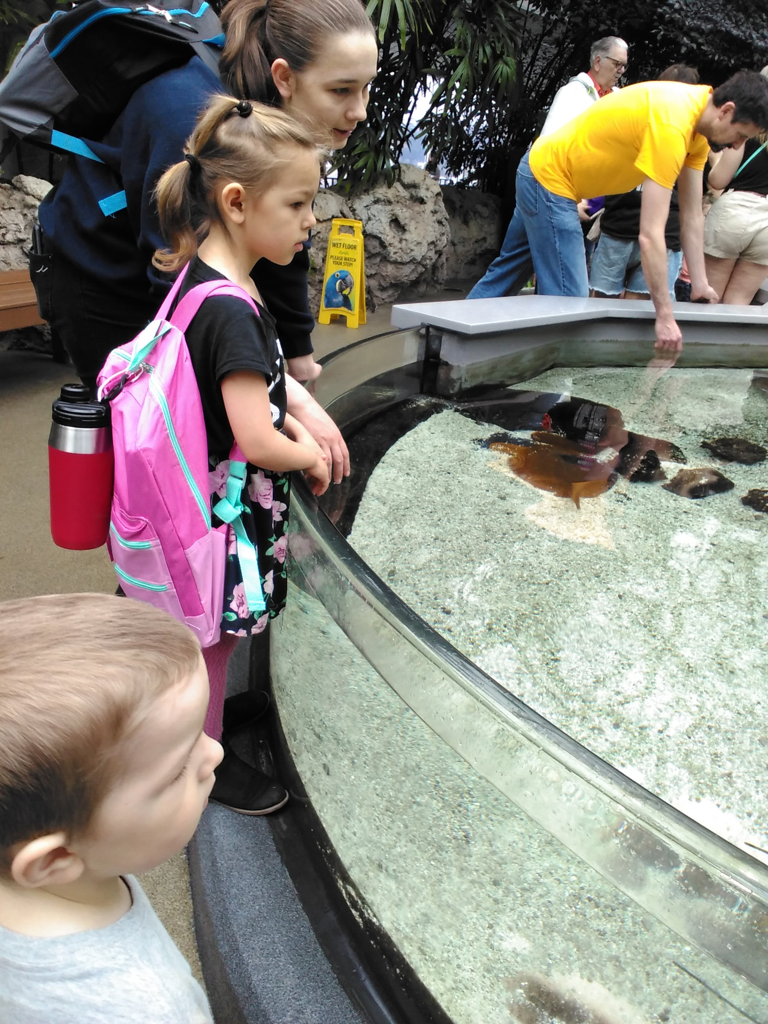 Isa and littles at the Aquarium