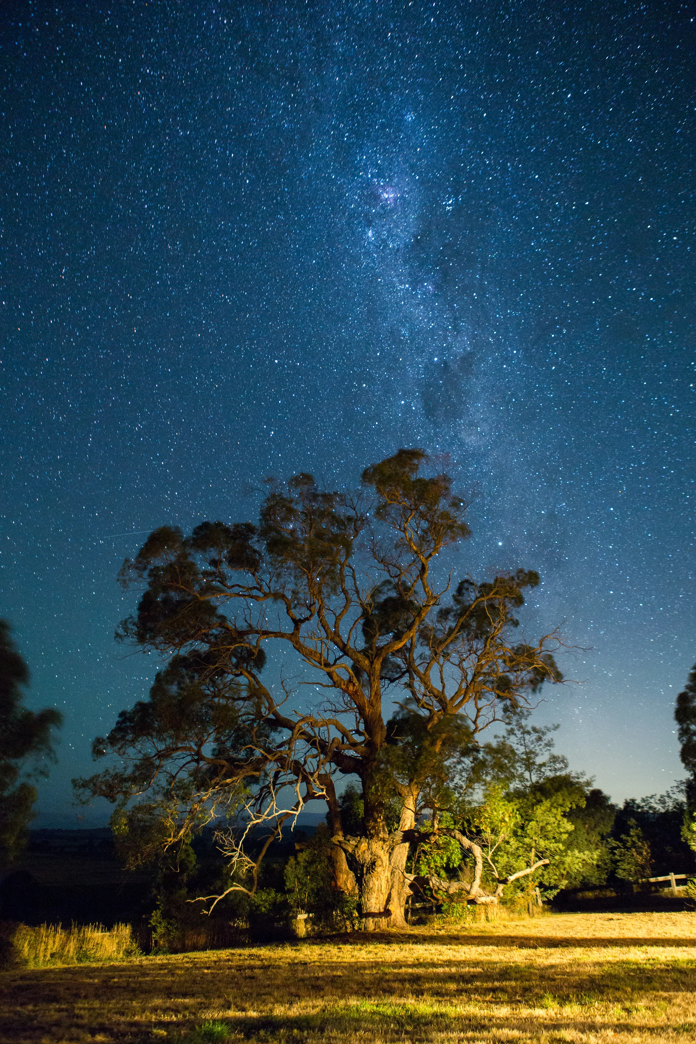 The view from the porch. The glow from Melbourne is in the lower right.