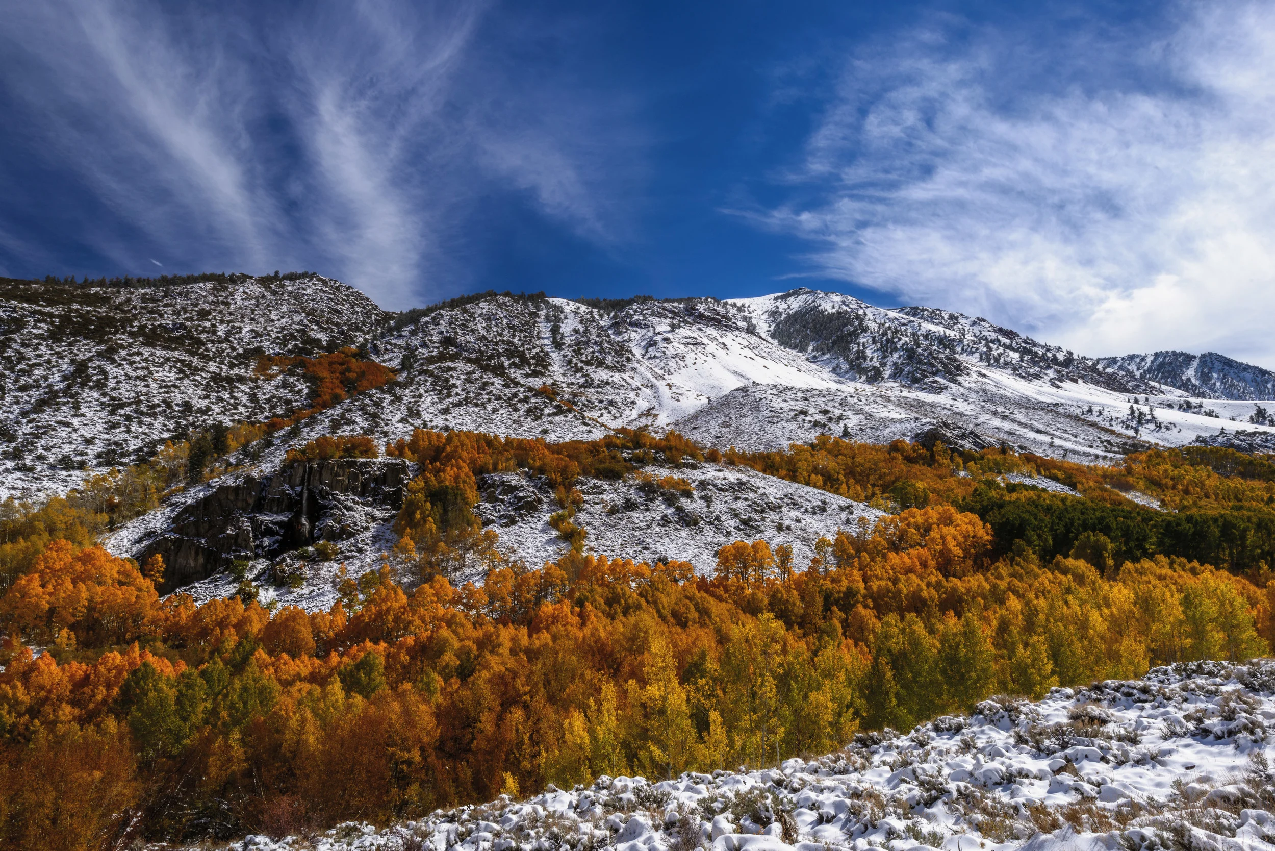 Waterfall in Aspens-1.jpg