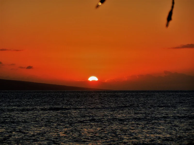 hawaiian sunset