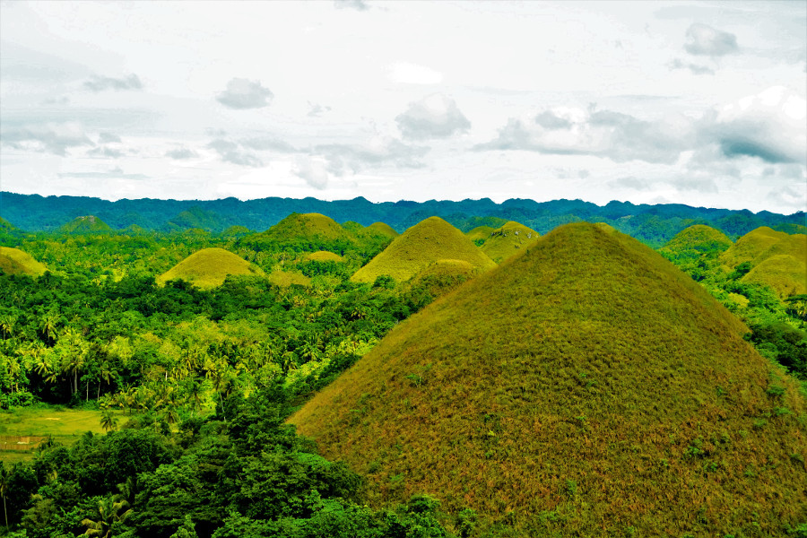 Chocolate Hills