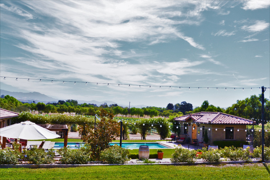 family vineyard