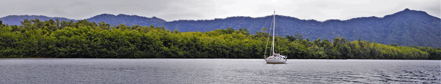 cape tribulation