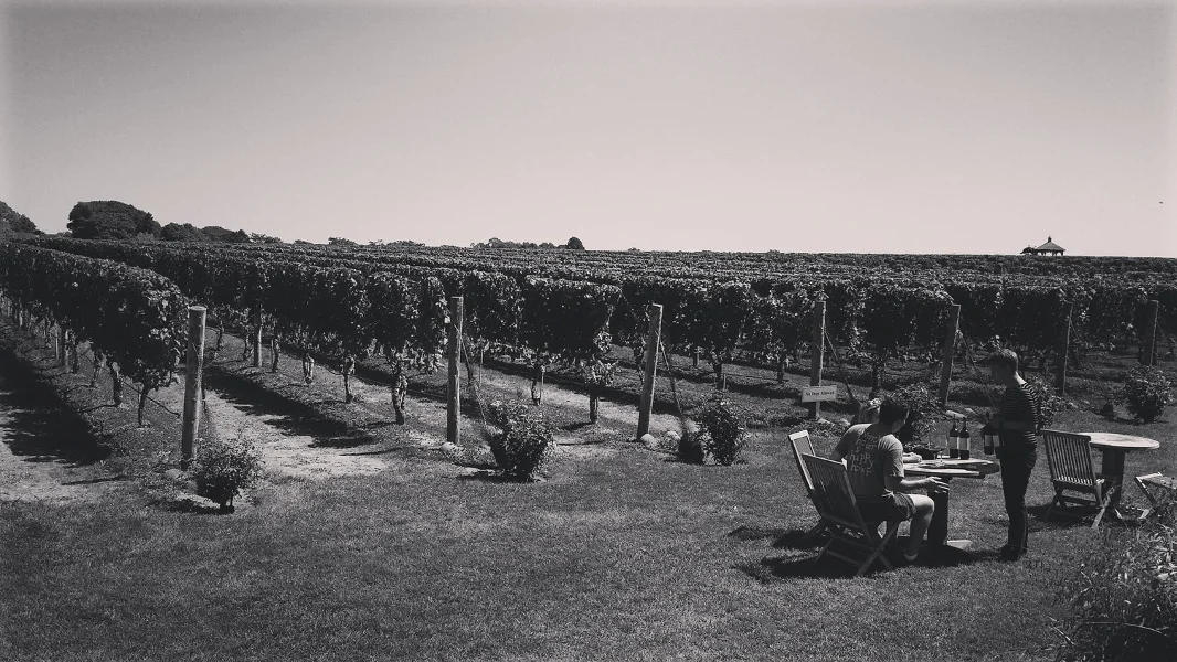 Wölffer Estate Vineyard