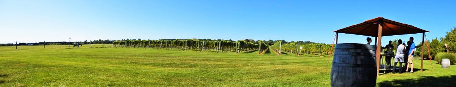 summer in the Hamptons