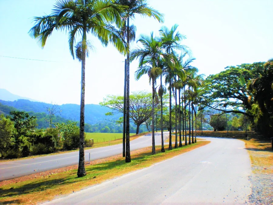 road to paradise