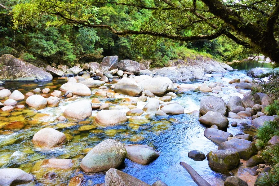 Mossman Gorge